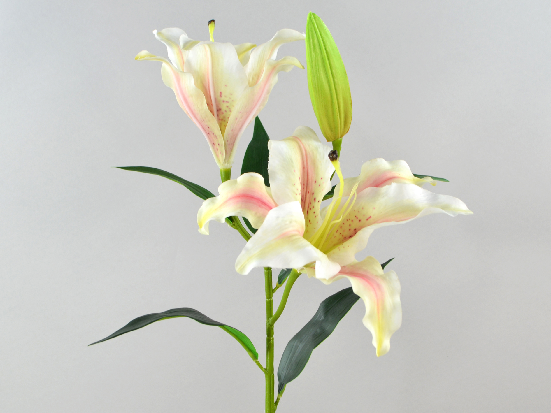 Lily branch, real touch, 81cm, pink