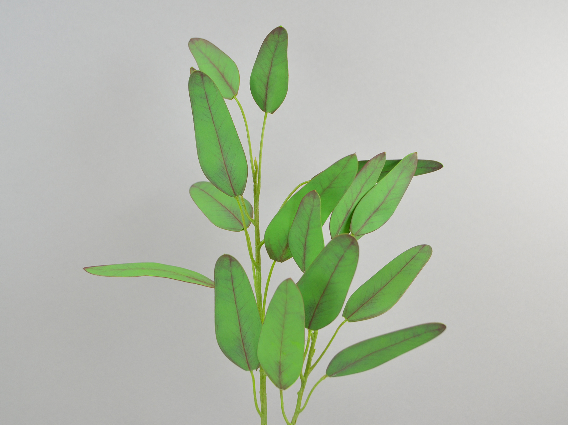 Eucalyptus branch, 63cm, light green