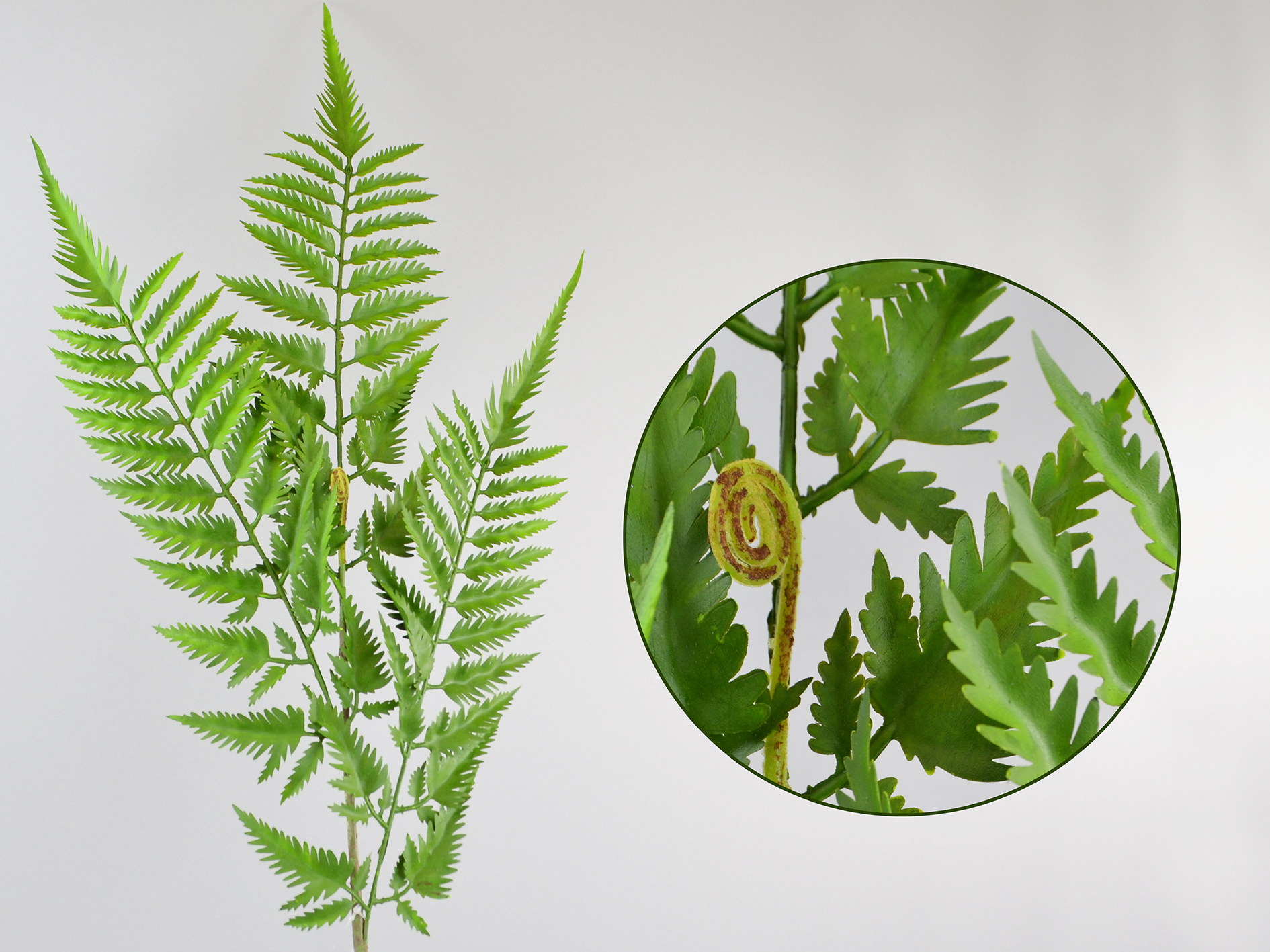 Farnblatt-Zweig, 91cm, grün