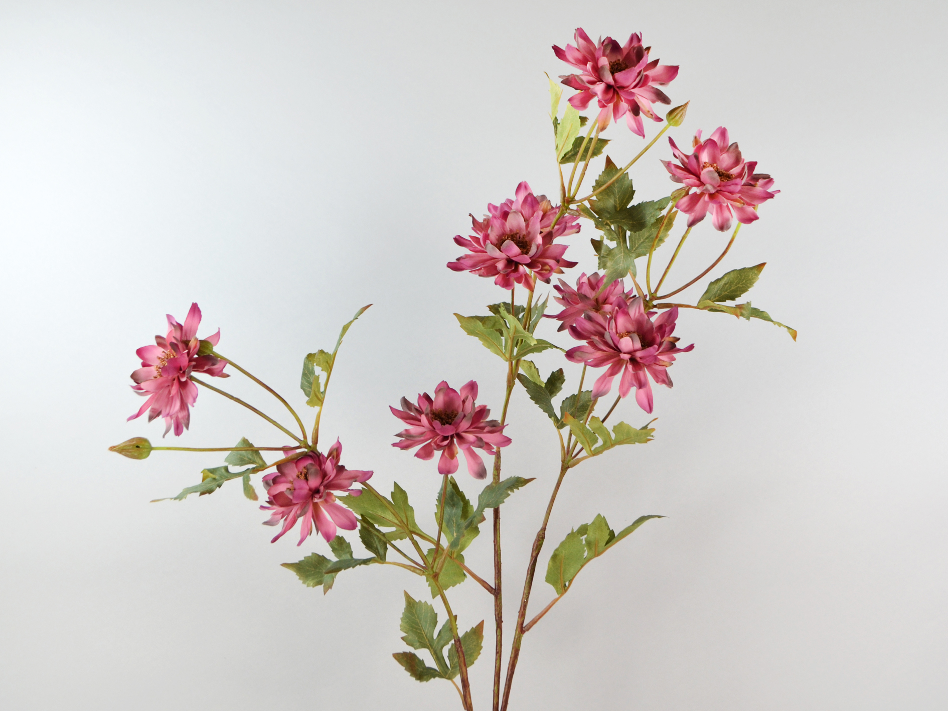 Dahlien-Zweig, 117cm, lila