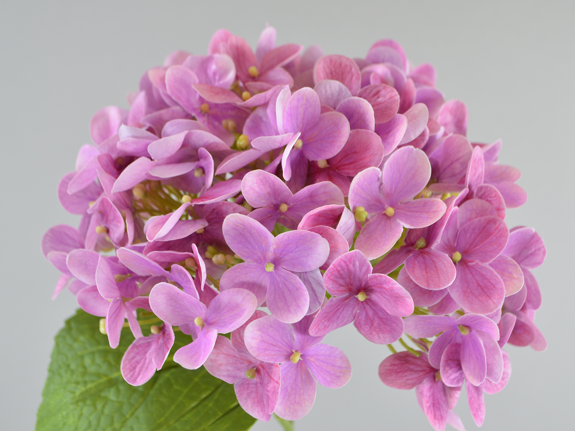 Hydrangea branch, 63cm, pink