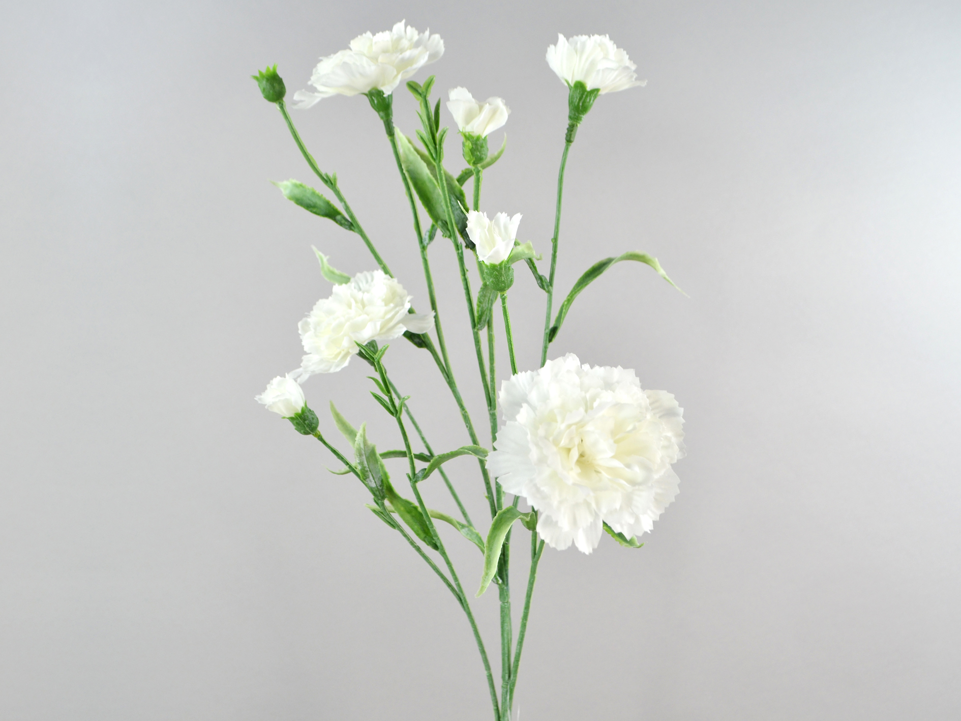 Clove branch x7, 70cm, cream