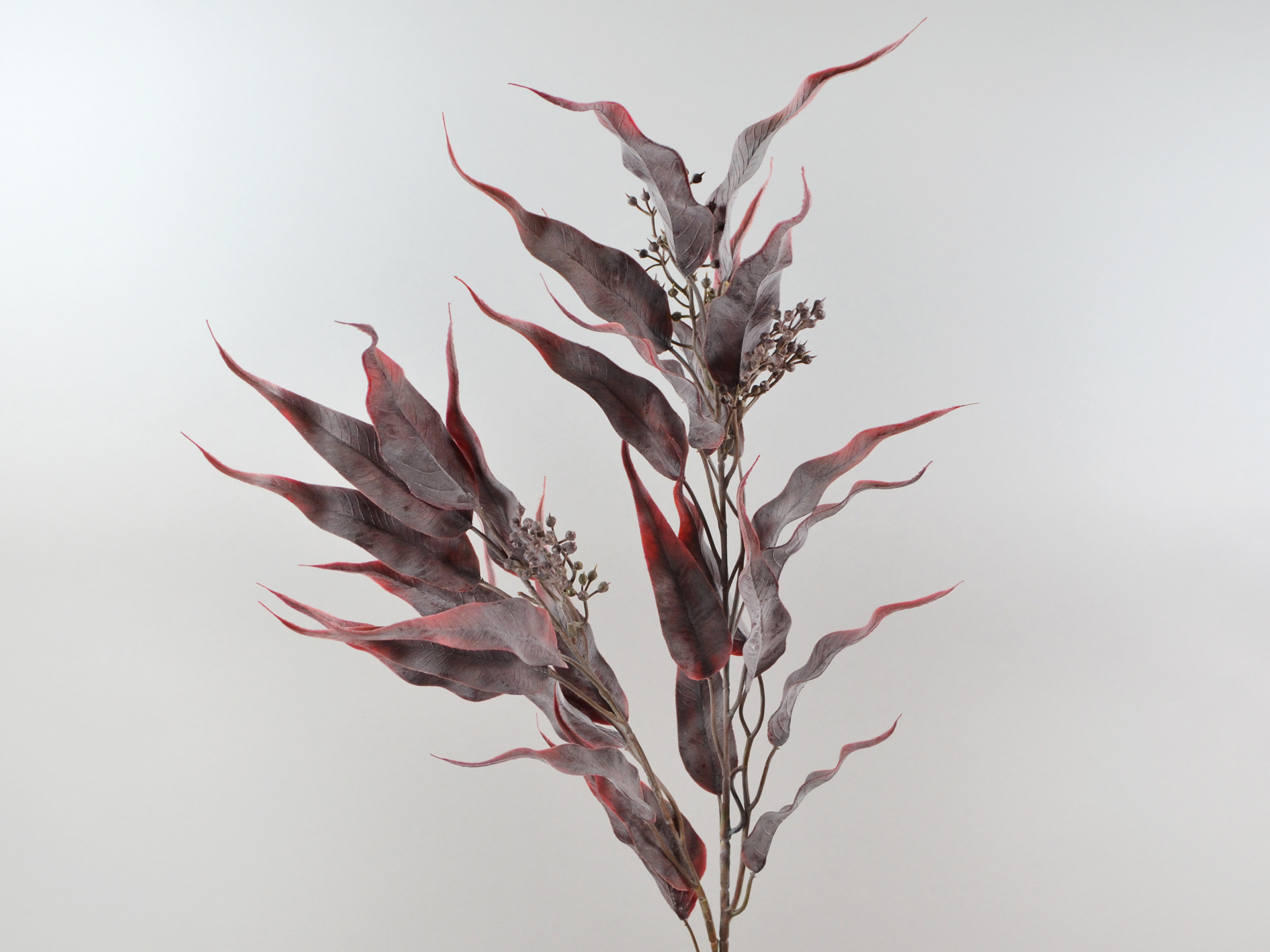 Eucalyptus branch with fruit, 76cm, burgundy