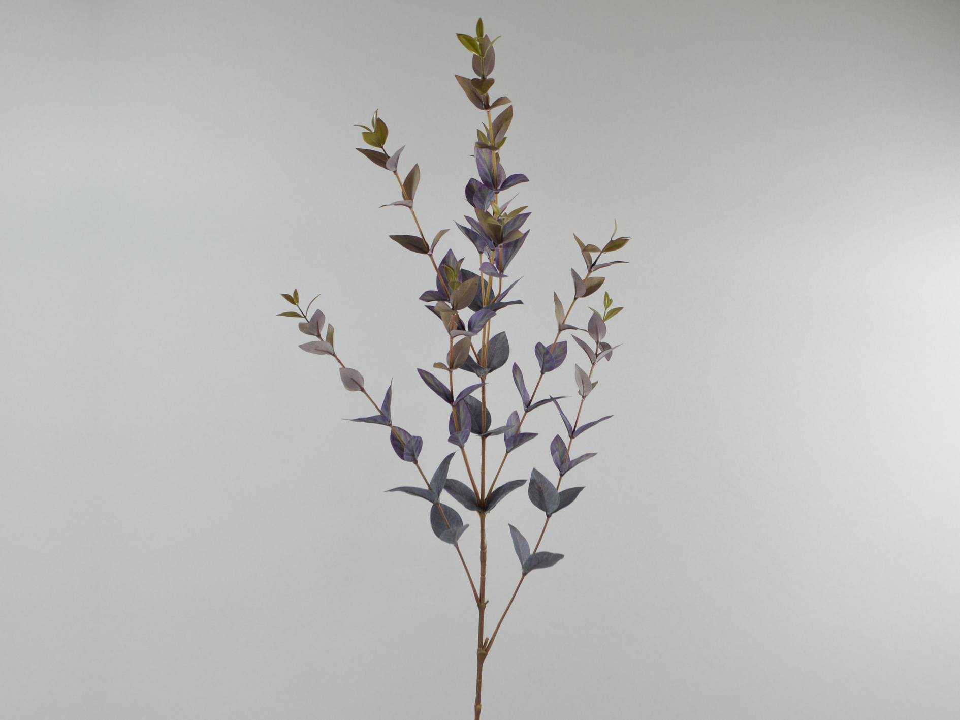 Eucalyptus branch, 94cm, purple-green