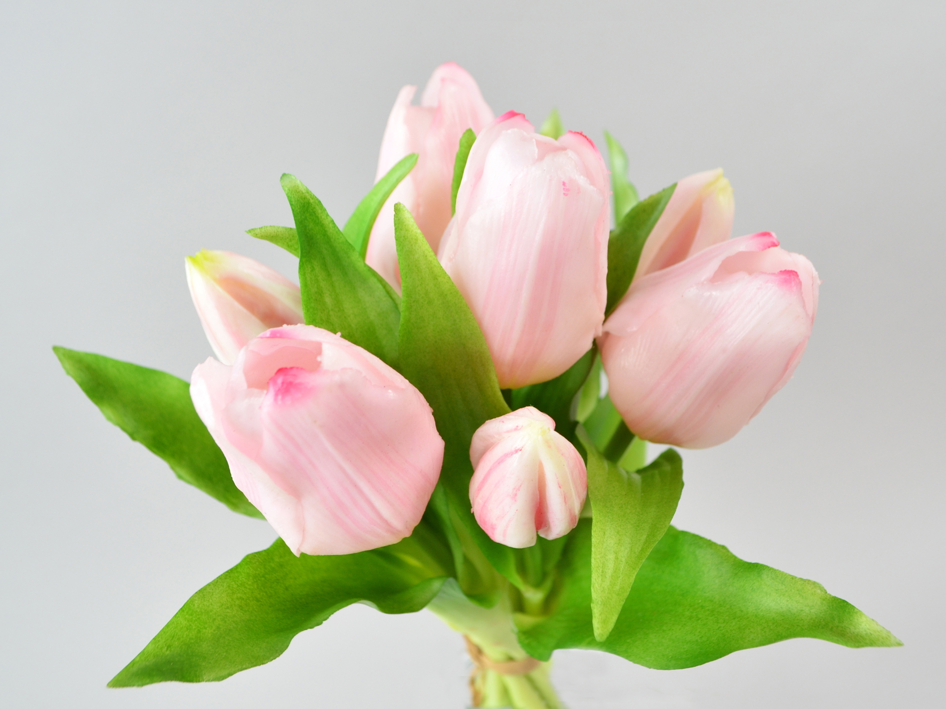 Tulip bunch x7, 30cm, pink