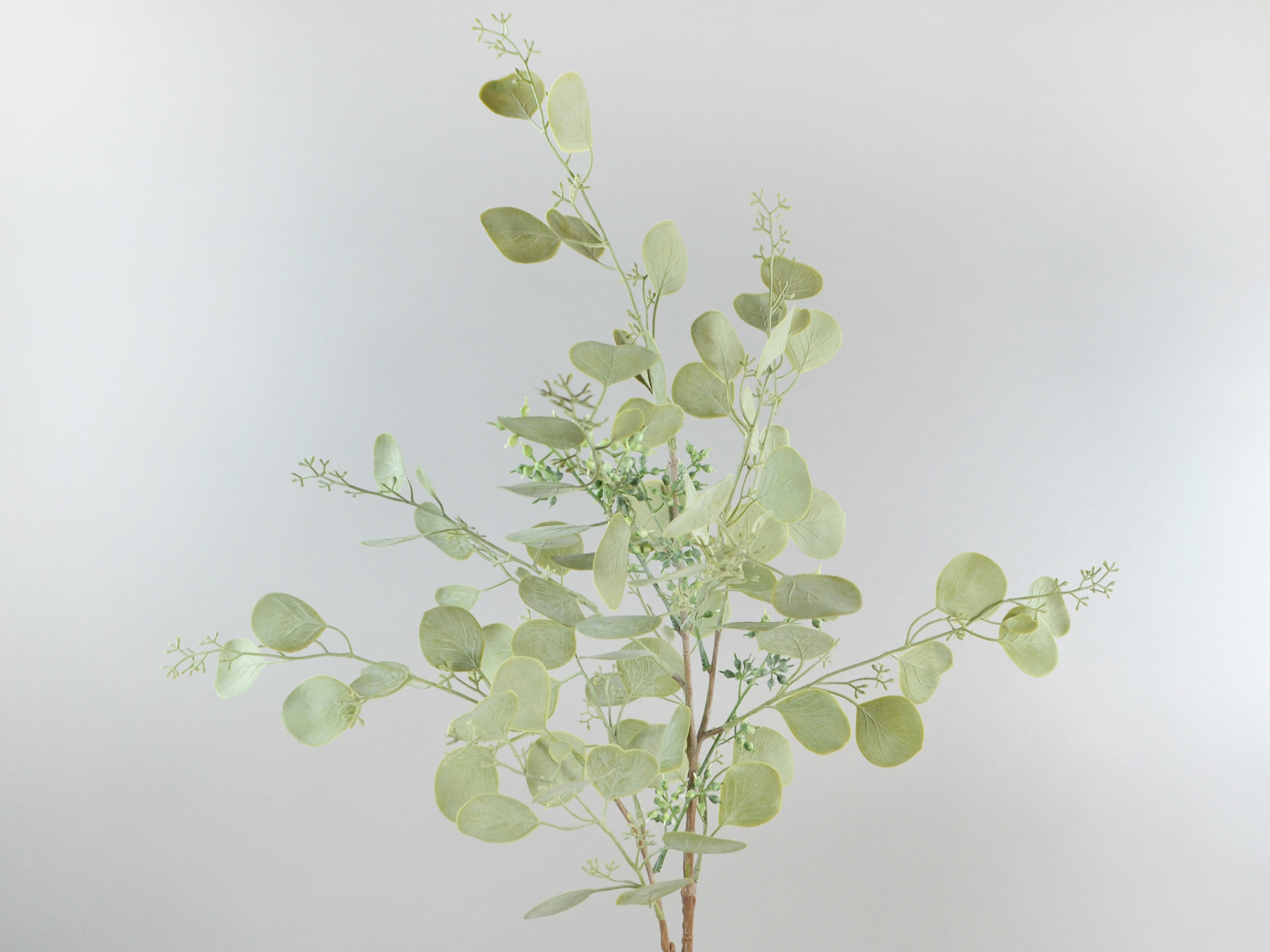Eucalyptus branch with berries, 86cm, light green