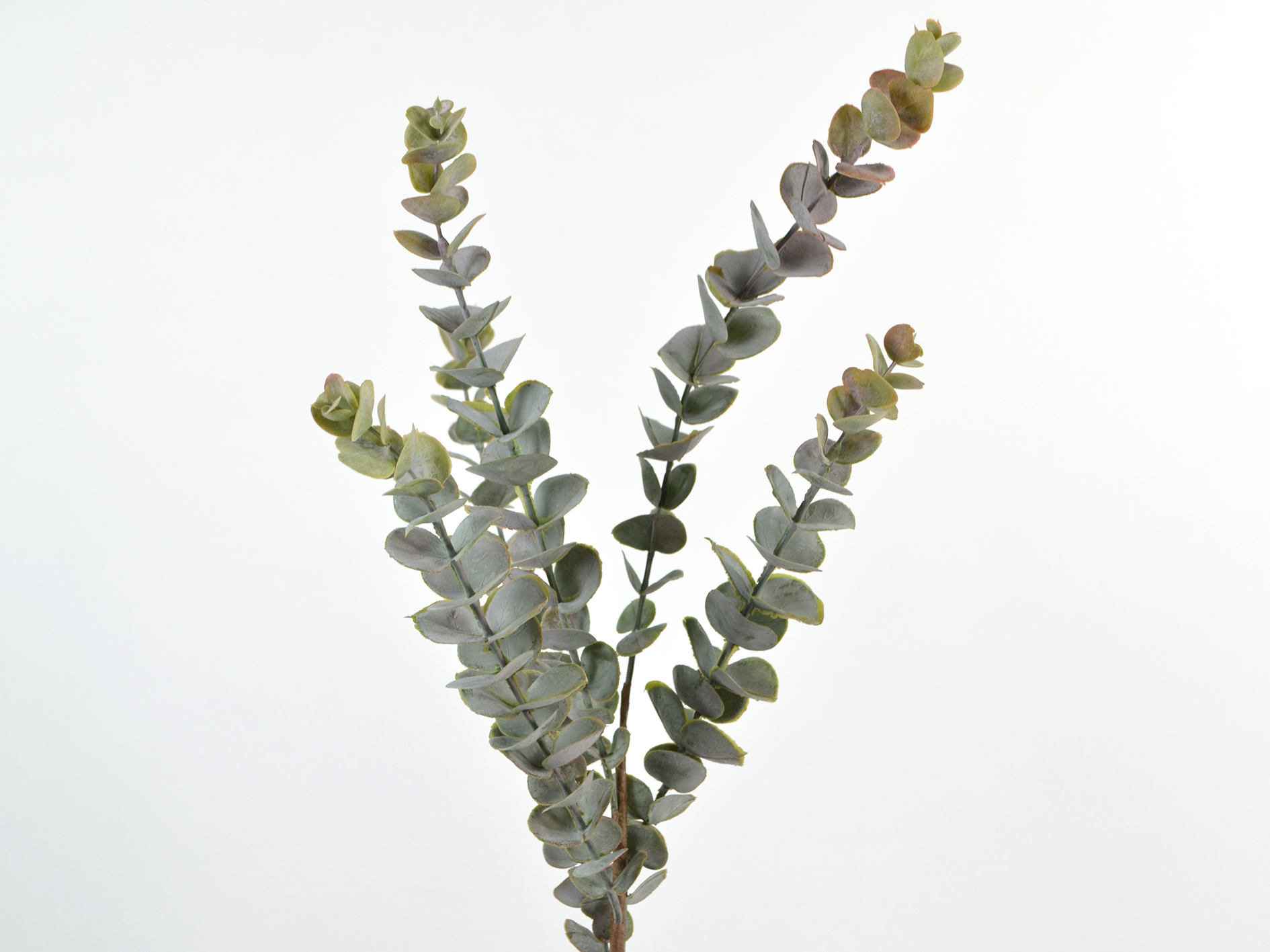Eucalyptus branch, 76cm, purple