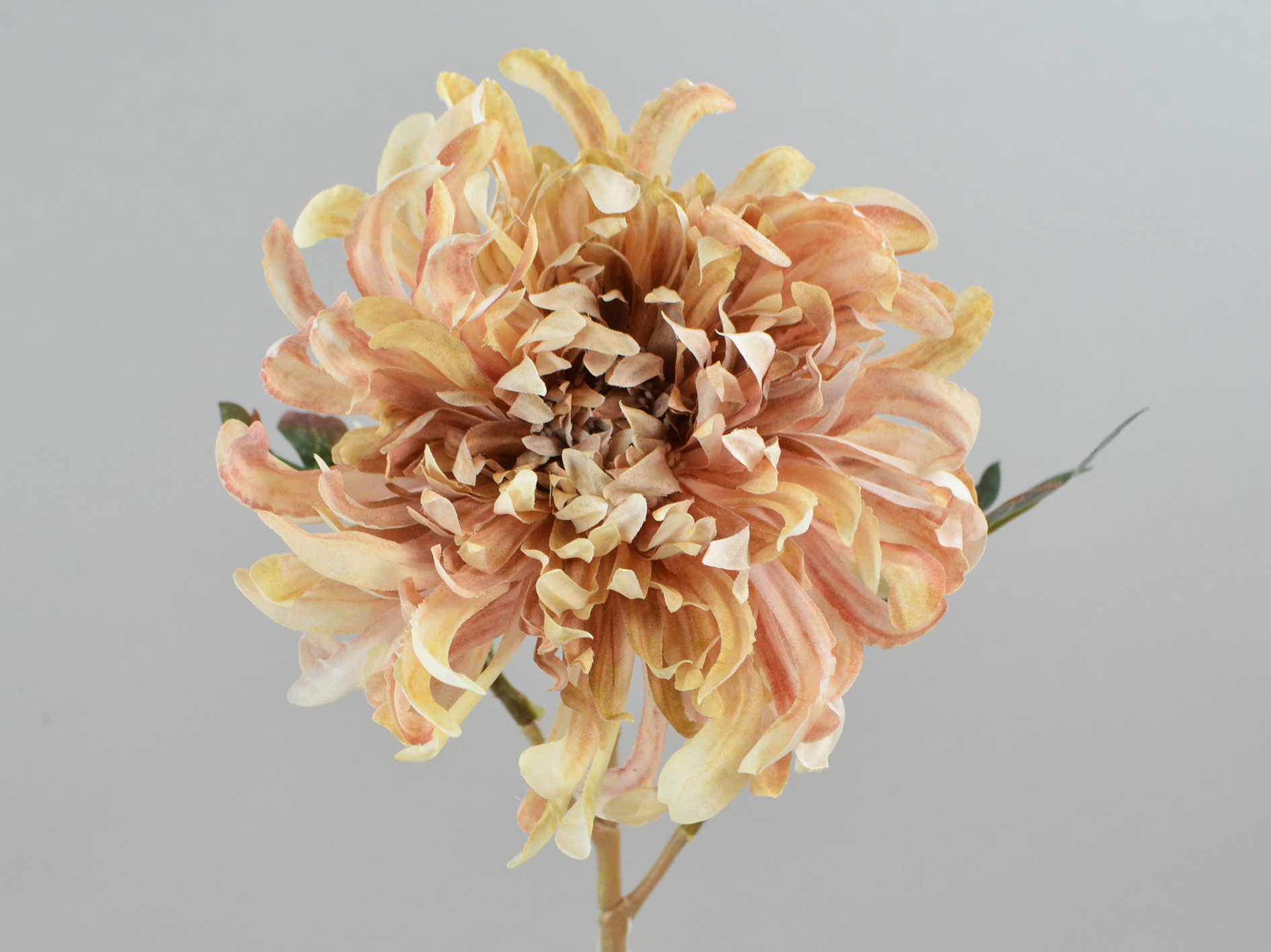 Chrysanthemum branch, 55cm, beige