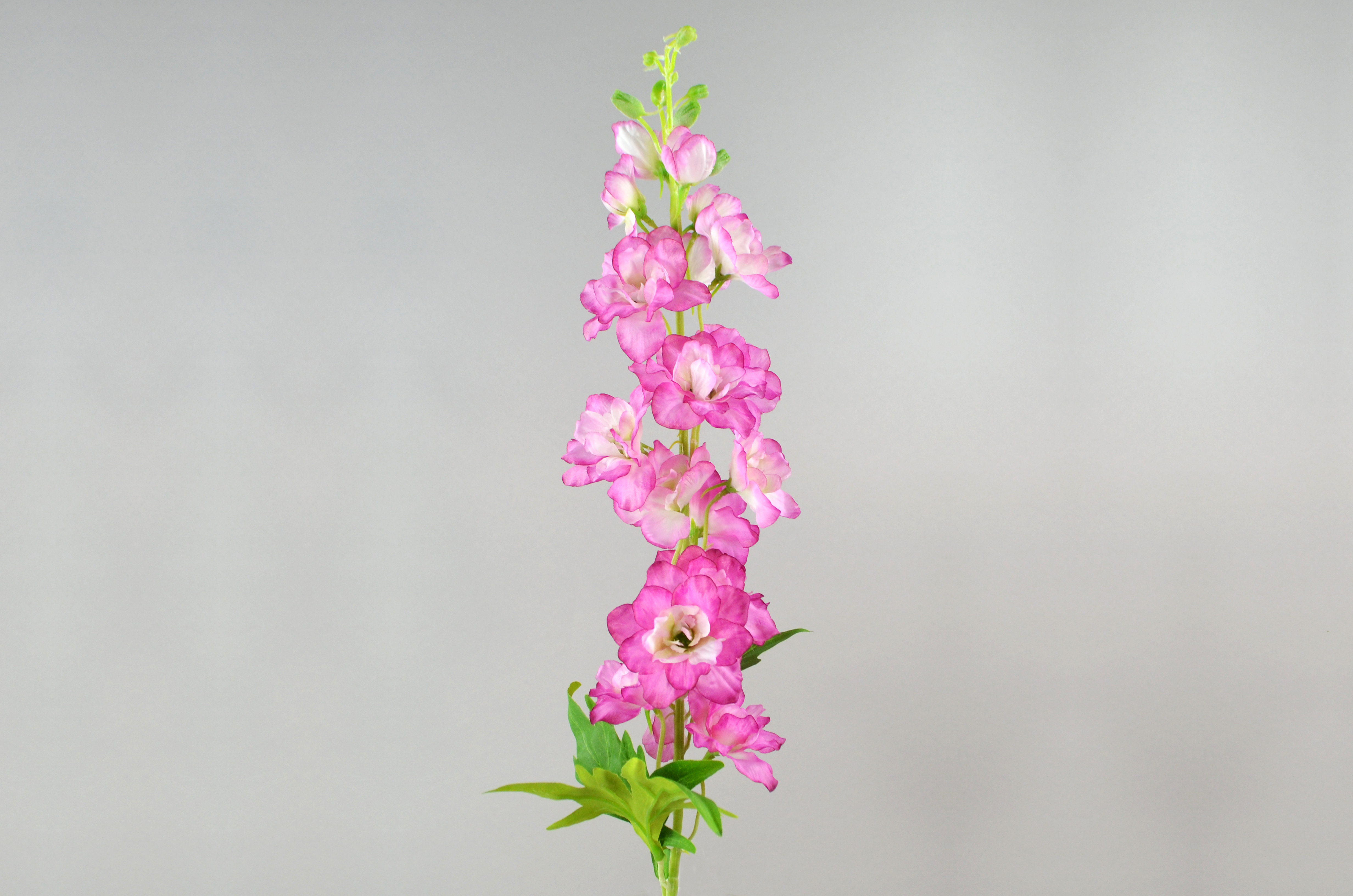 Delphinium-Zweig, 107cm, pink
