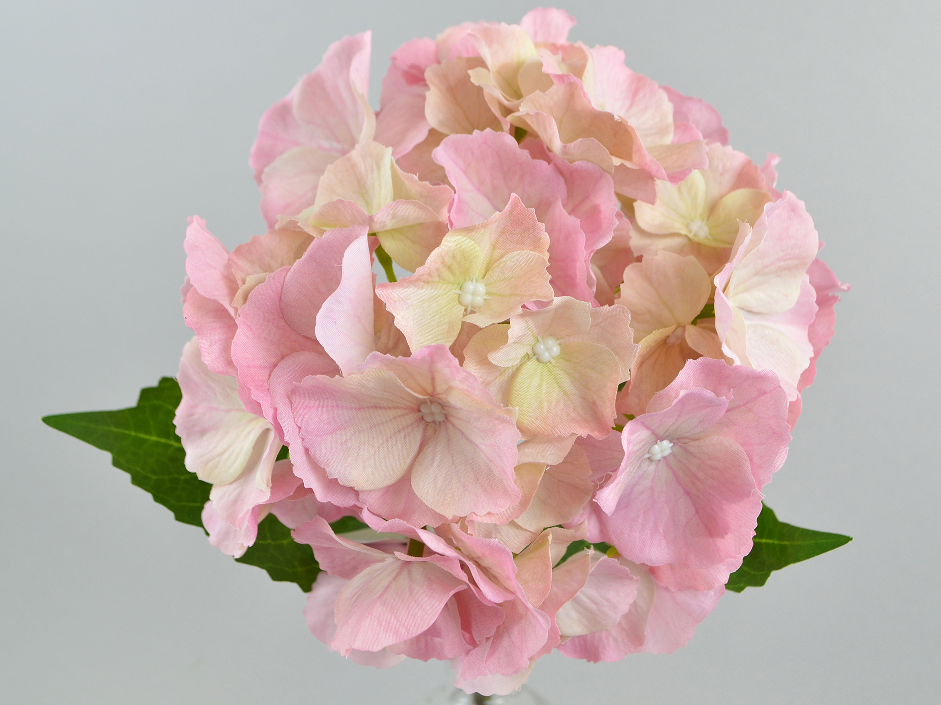 Hydrangea branch, 50cm, pink-yellow