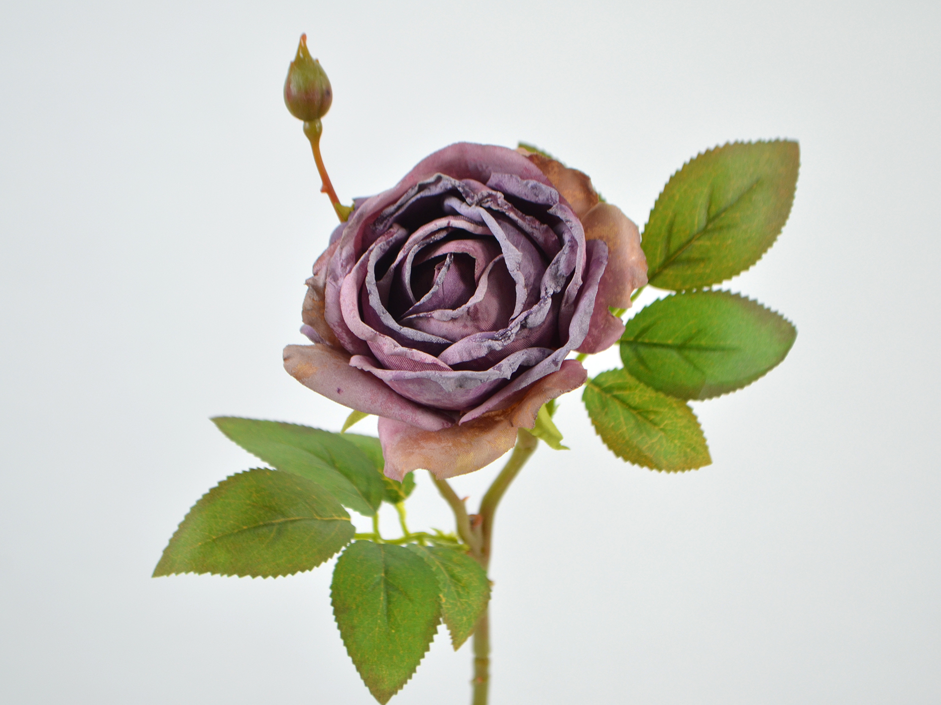Rose pick, 44cm, purple