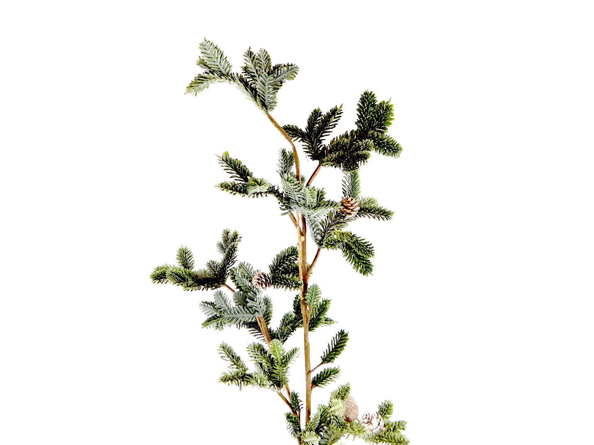 Edeltannen-Zweig mit Zapfen, 109cm, grün-geeist
