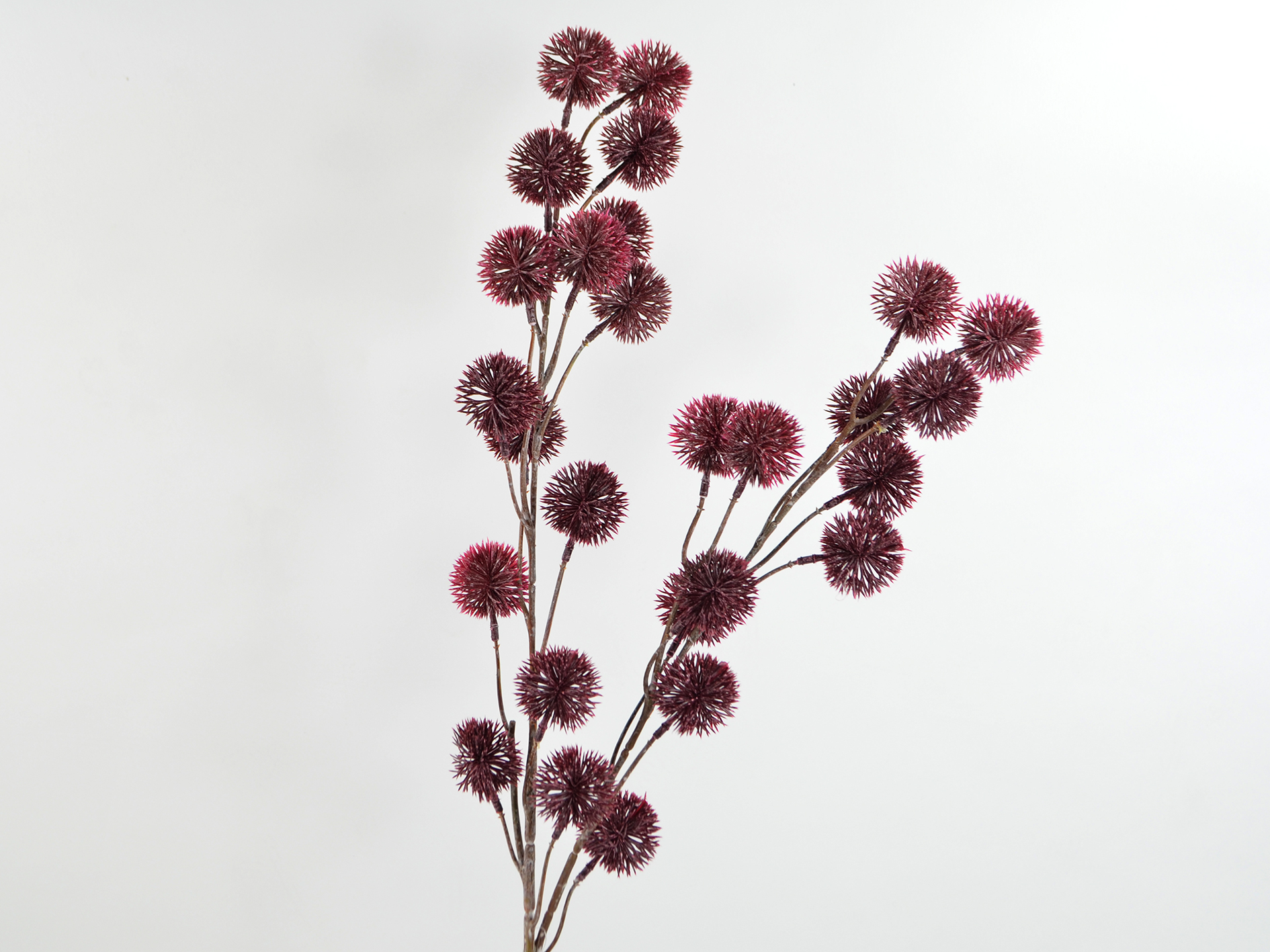 Ball thistle branch x2, 70cm, burgundy