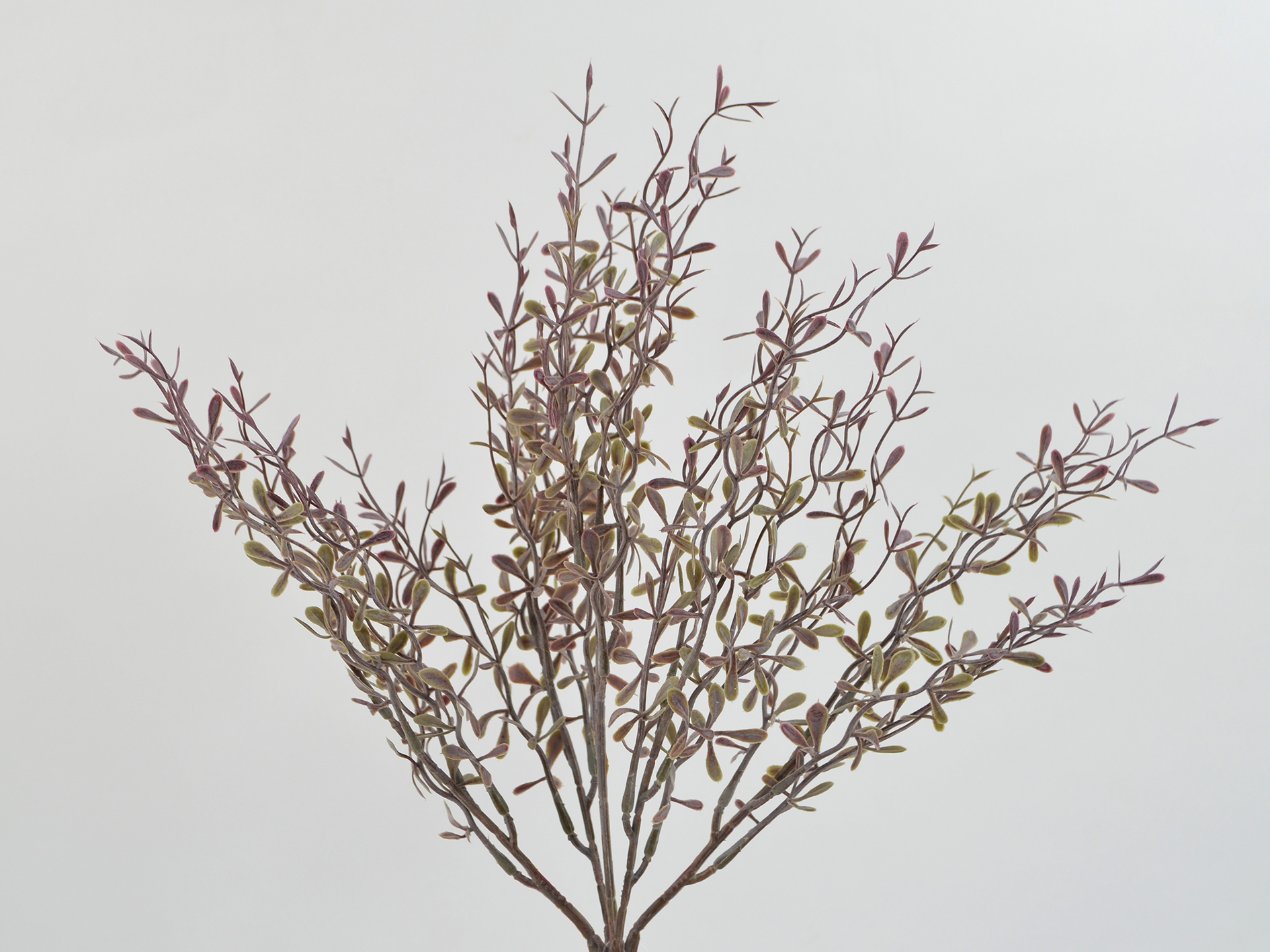 Leaf berry bush x5, 37cm, purple