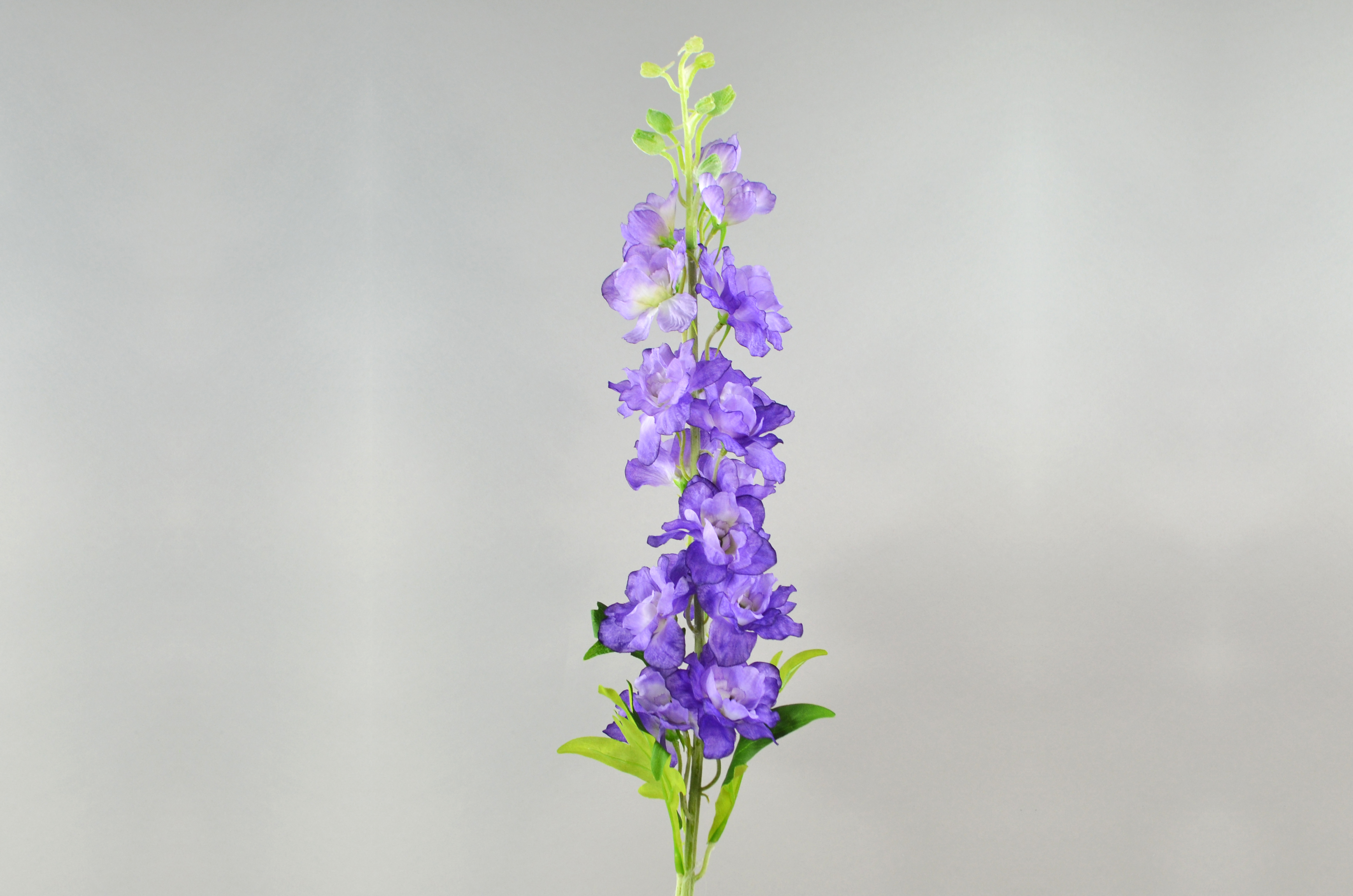 Delphinium-Zweig, 107cm, lila