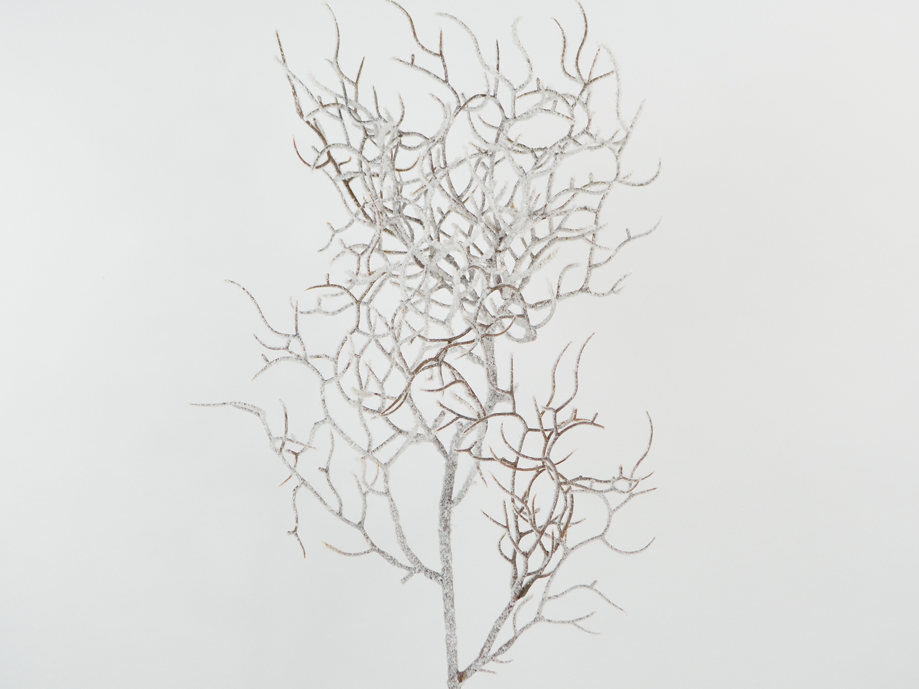 Zweig verästelt,Schnee,Glitter,75cm,weiß