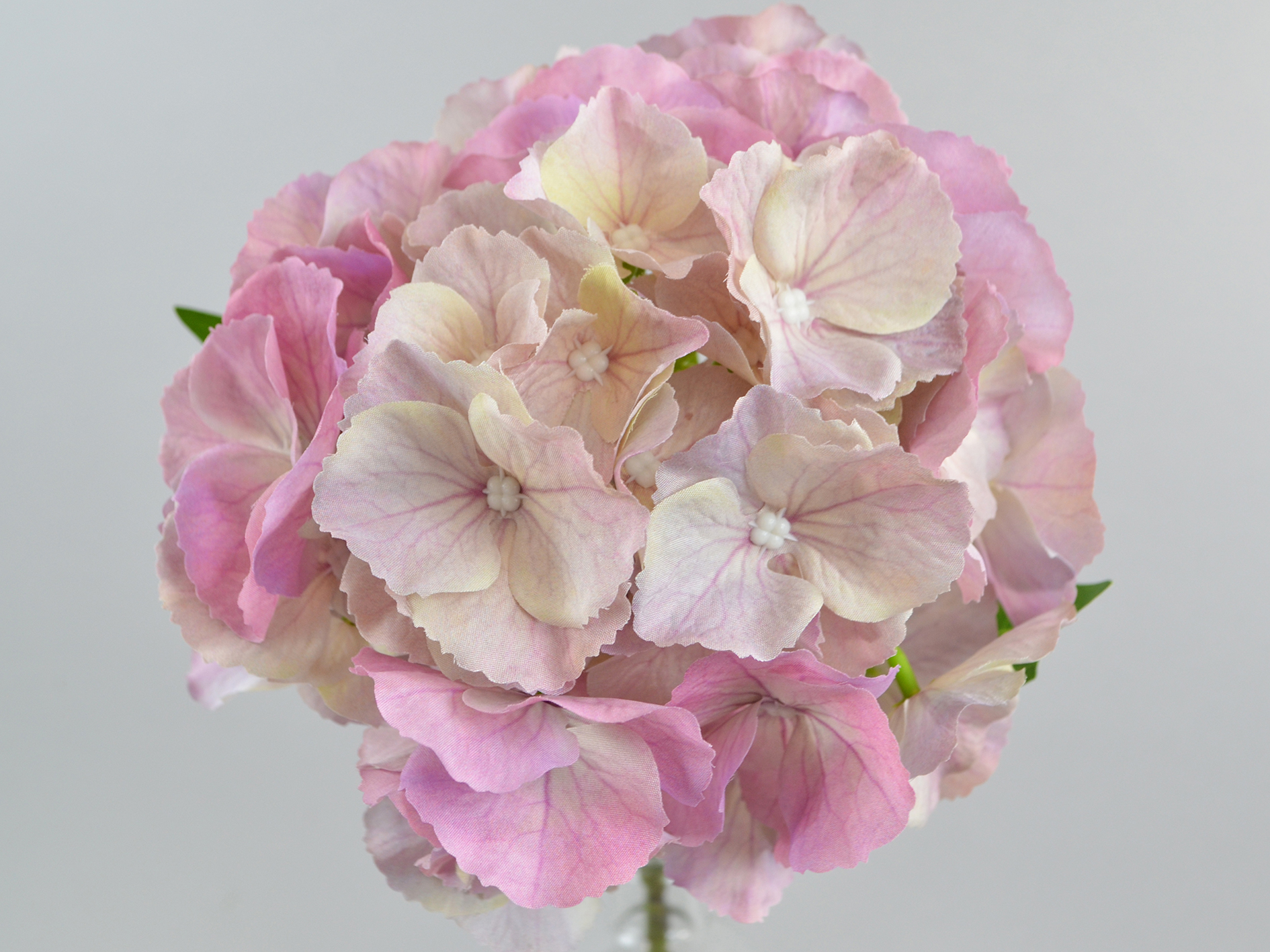 Hydrangea branch, 50cm, purple-yellow