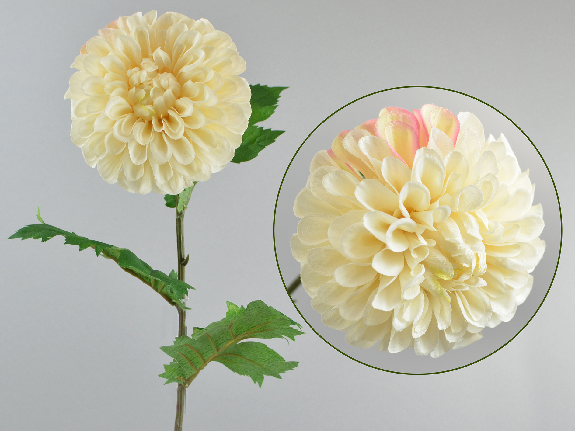 Dahlia branch, 74cm, cream