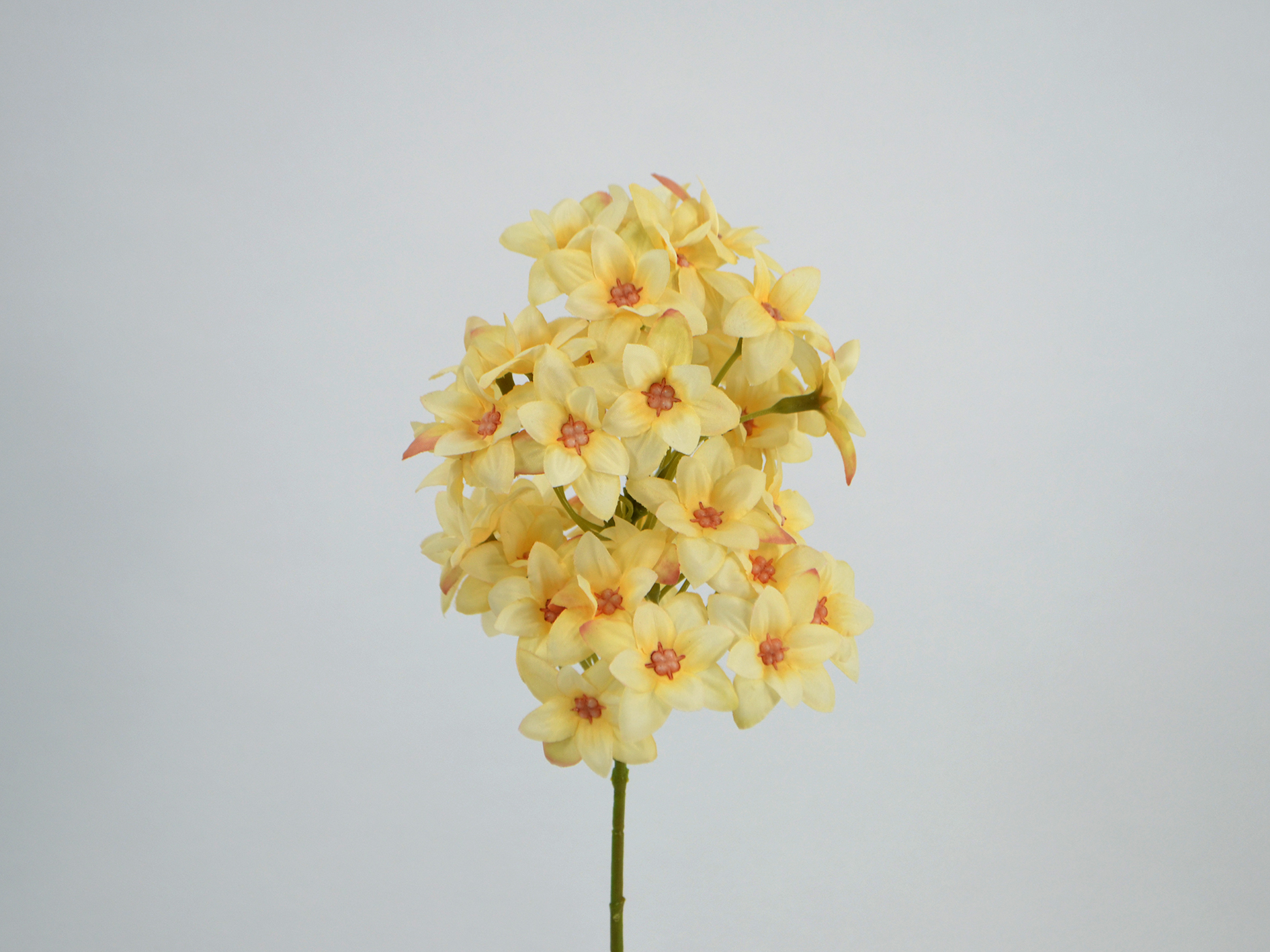 Blüten-Pick, 35cm, creme