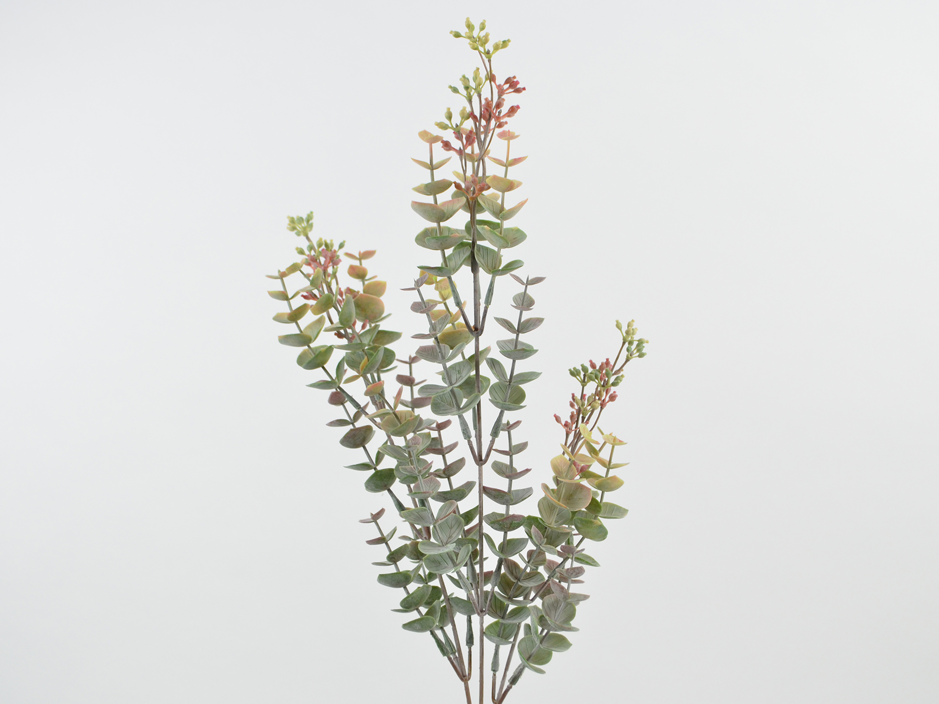 Eukalyptus-Zweig x3, 68cm, grün-rot