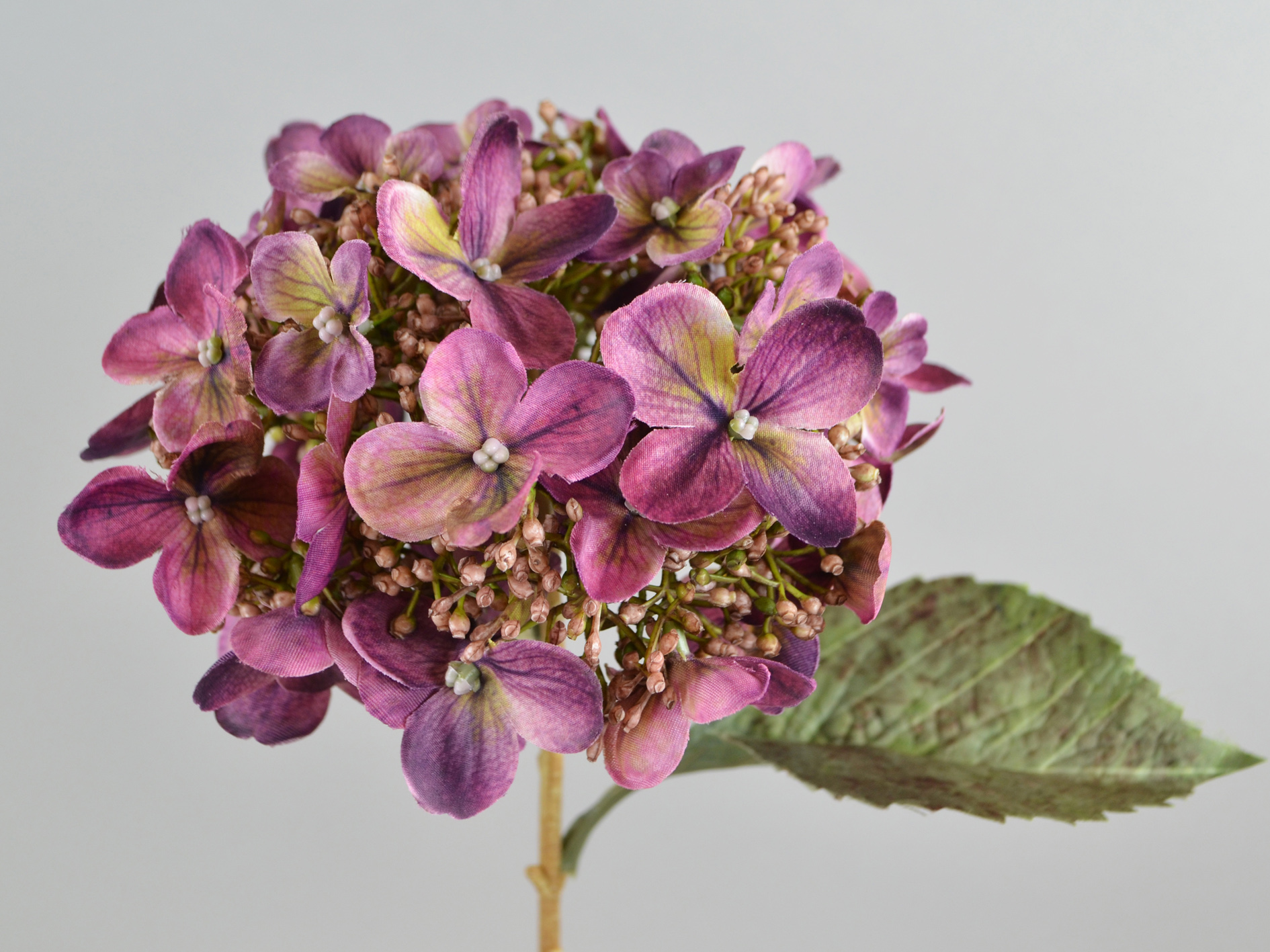 Hydrangea branch with 2 leaves, 54cm, violet
