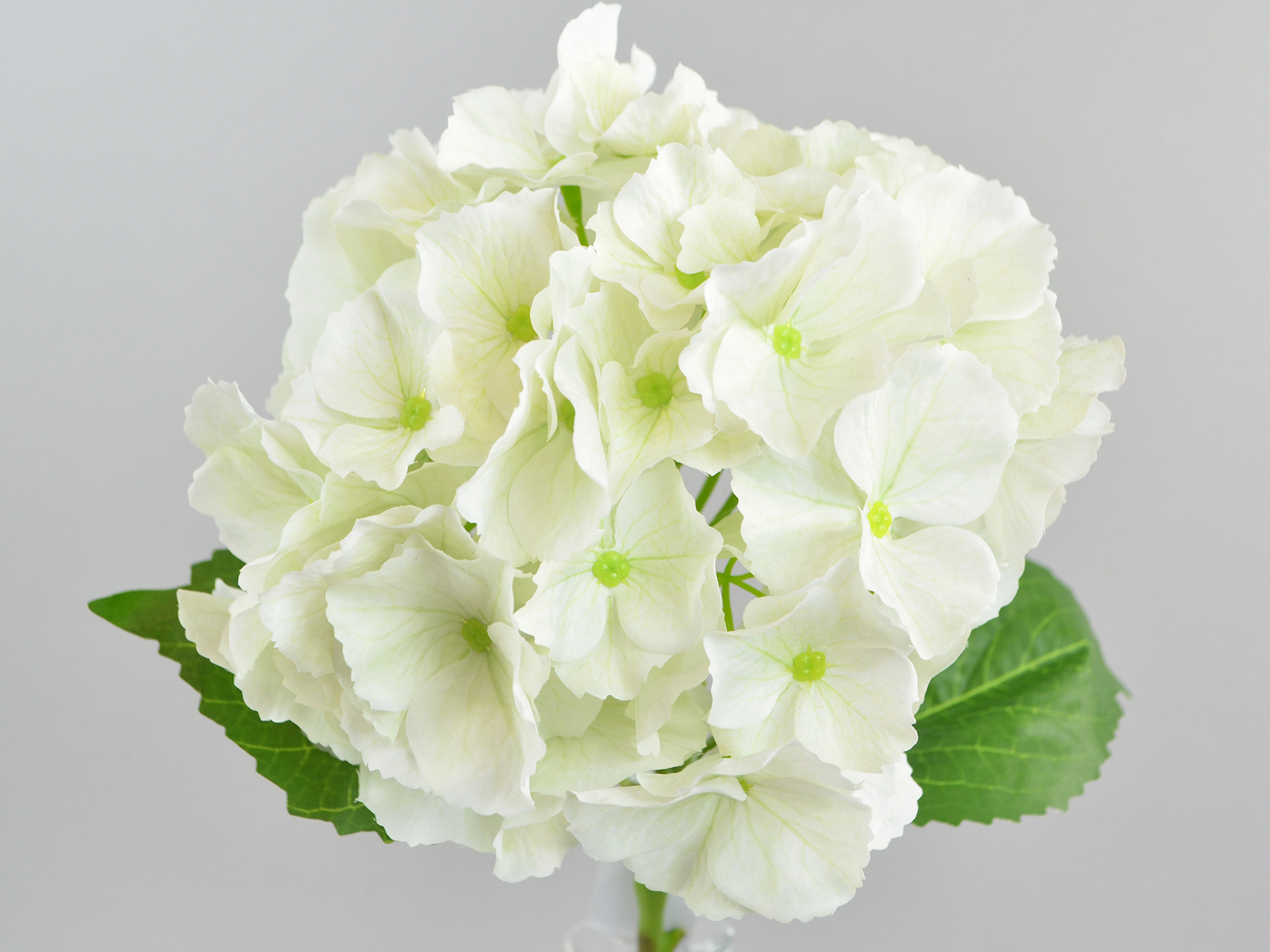 Hydrangea branch, 50cm, cream