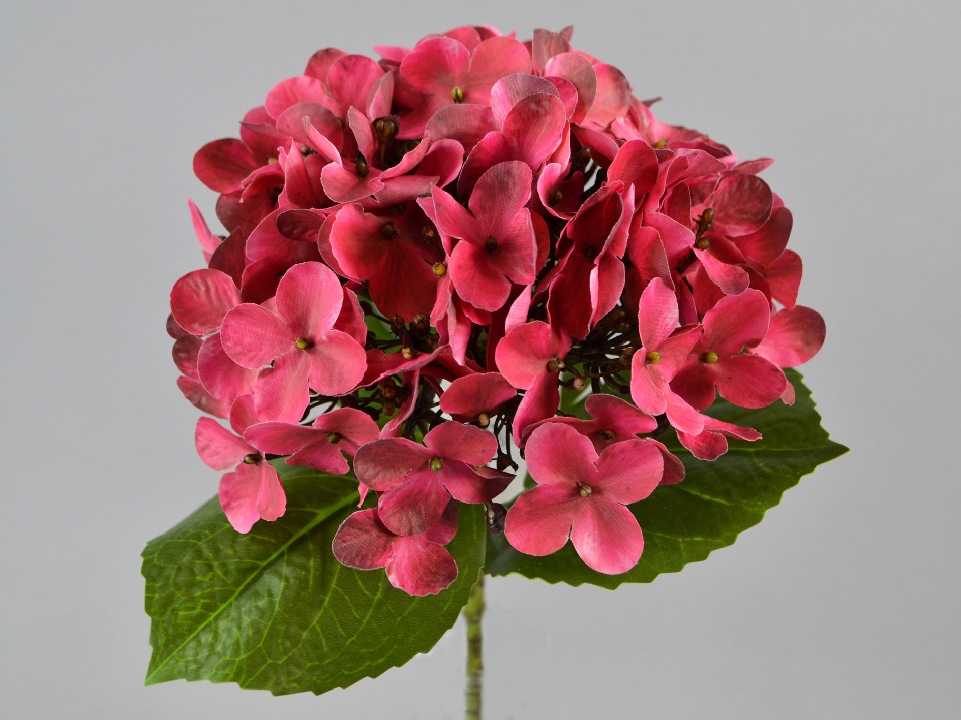 Hydrangea branch, 2 leaves, 48cm, mauve
