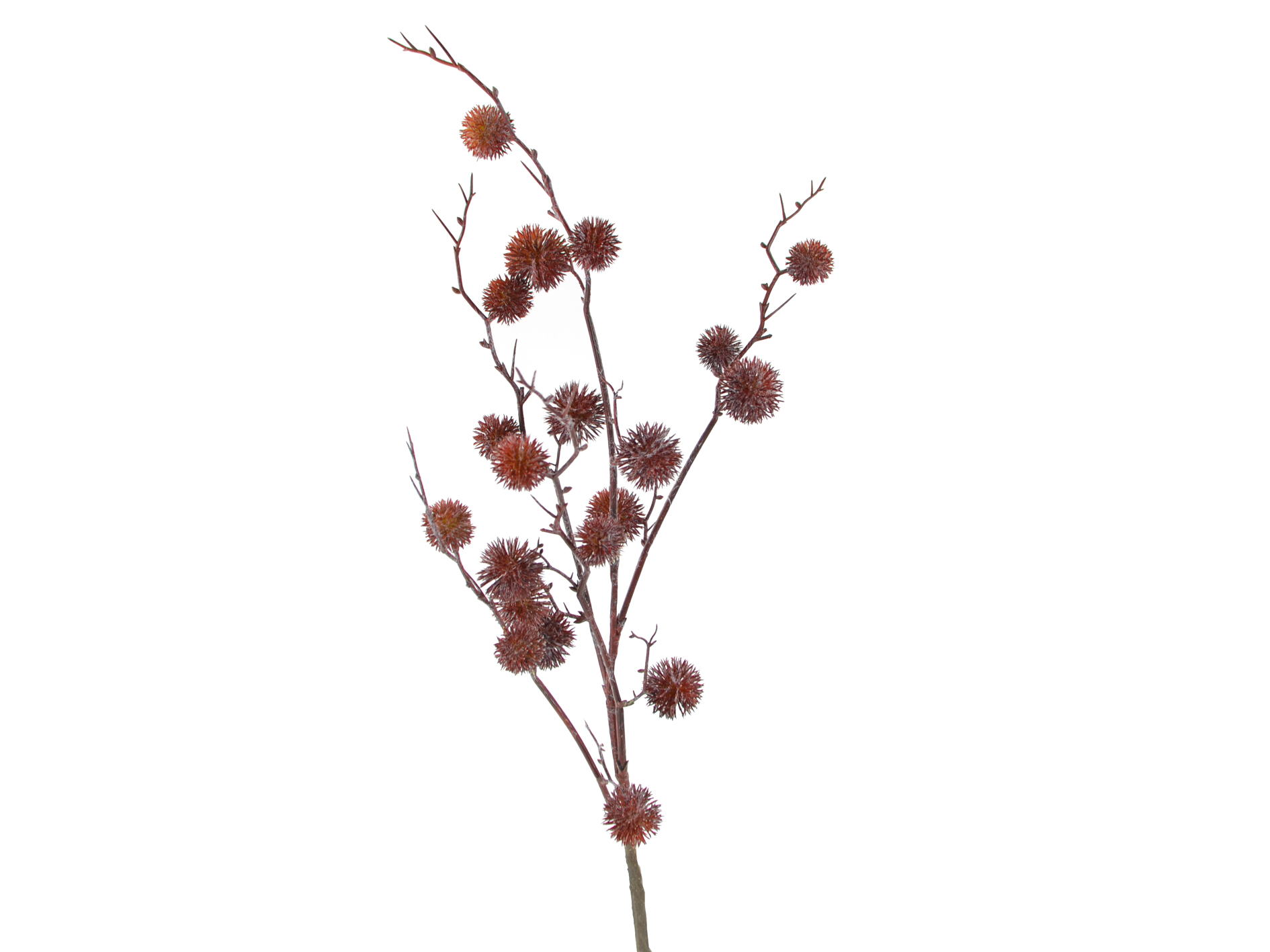 Pompom branch, 96cm, burgundy