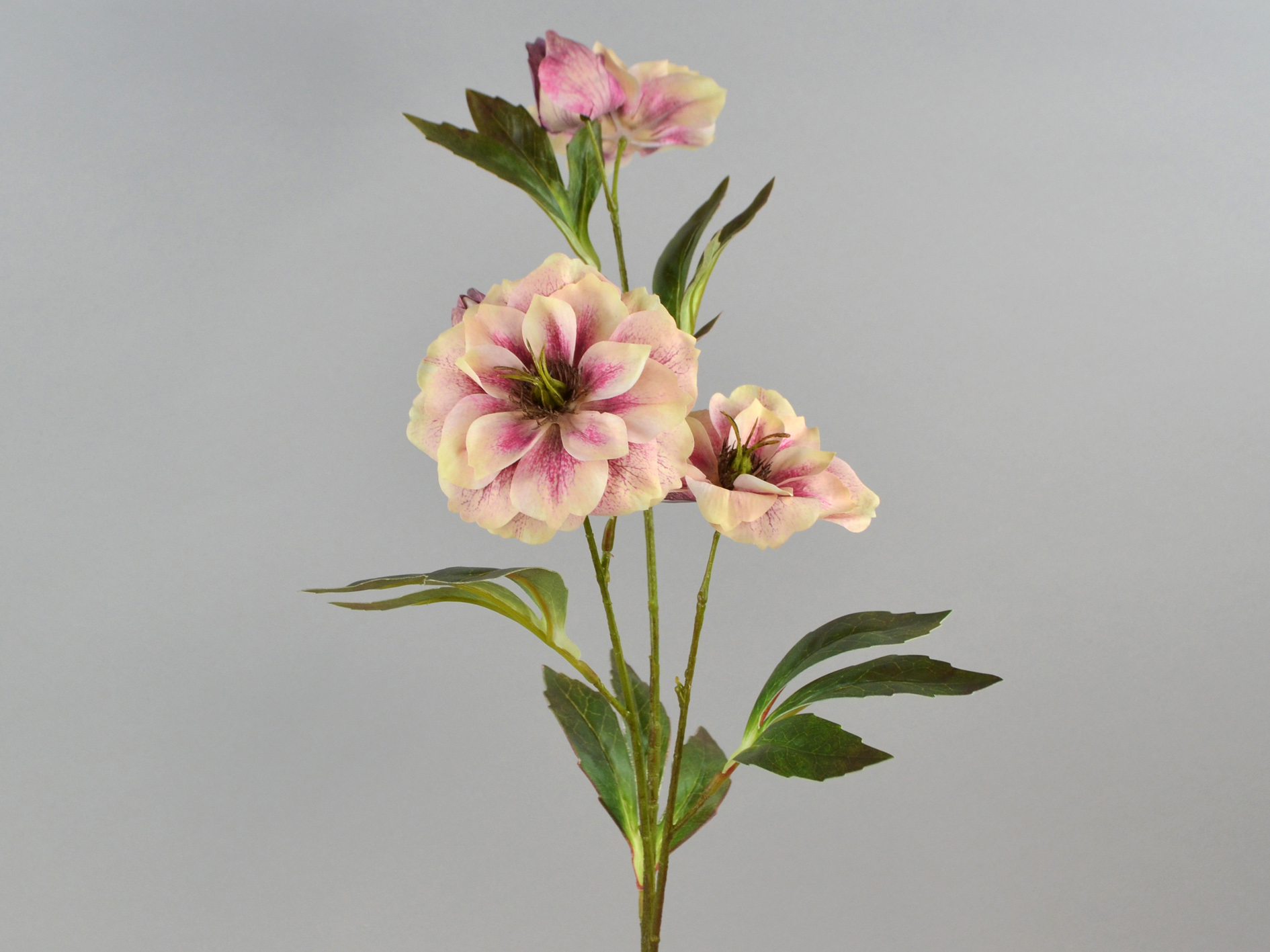 Christmas rose branch x3, 65cm, purple
