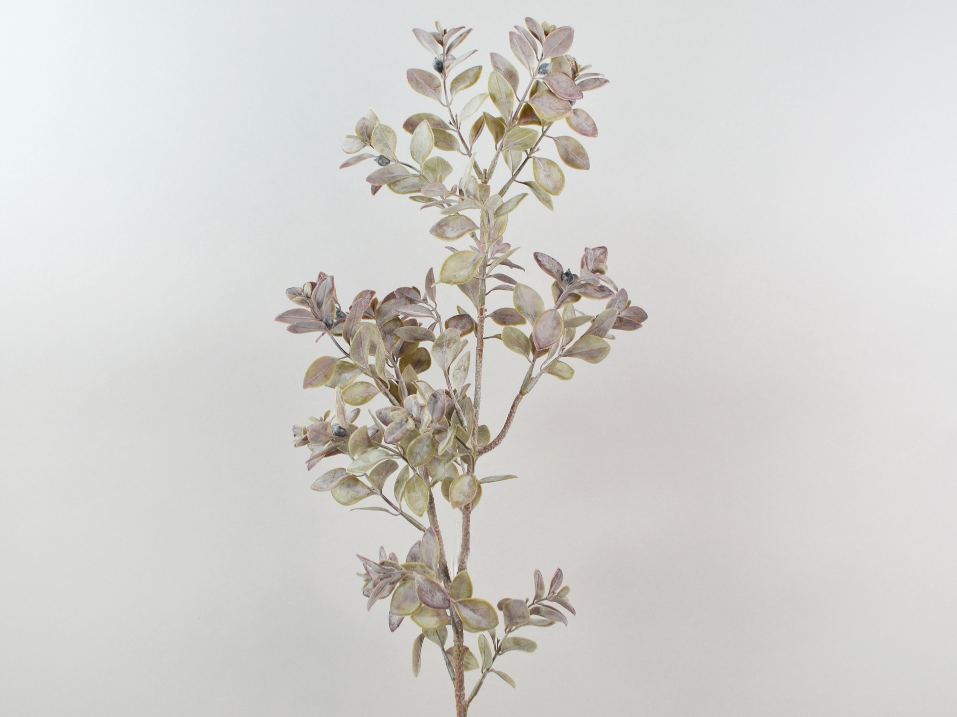 Blatt Zweig, 71cm, malve