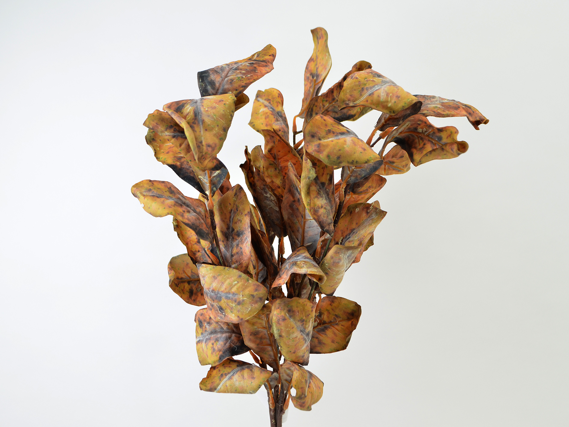Magnolienblatt-Bündel x3,66cm,herbstlich