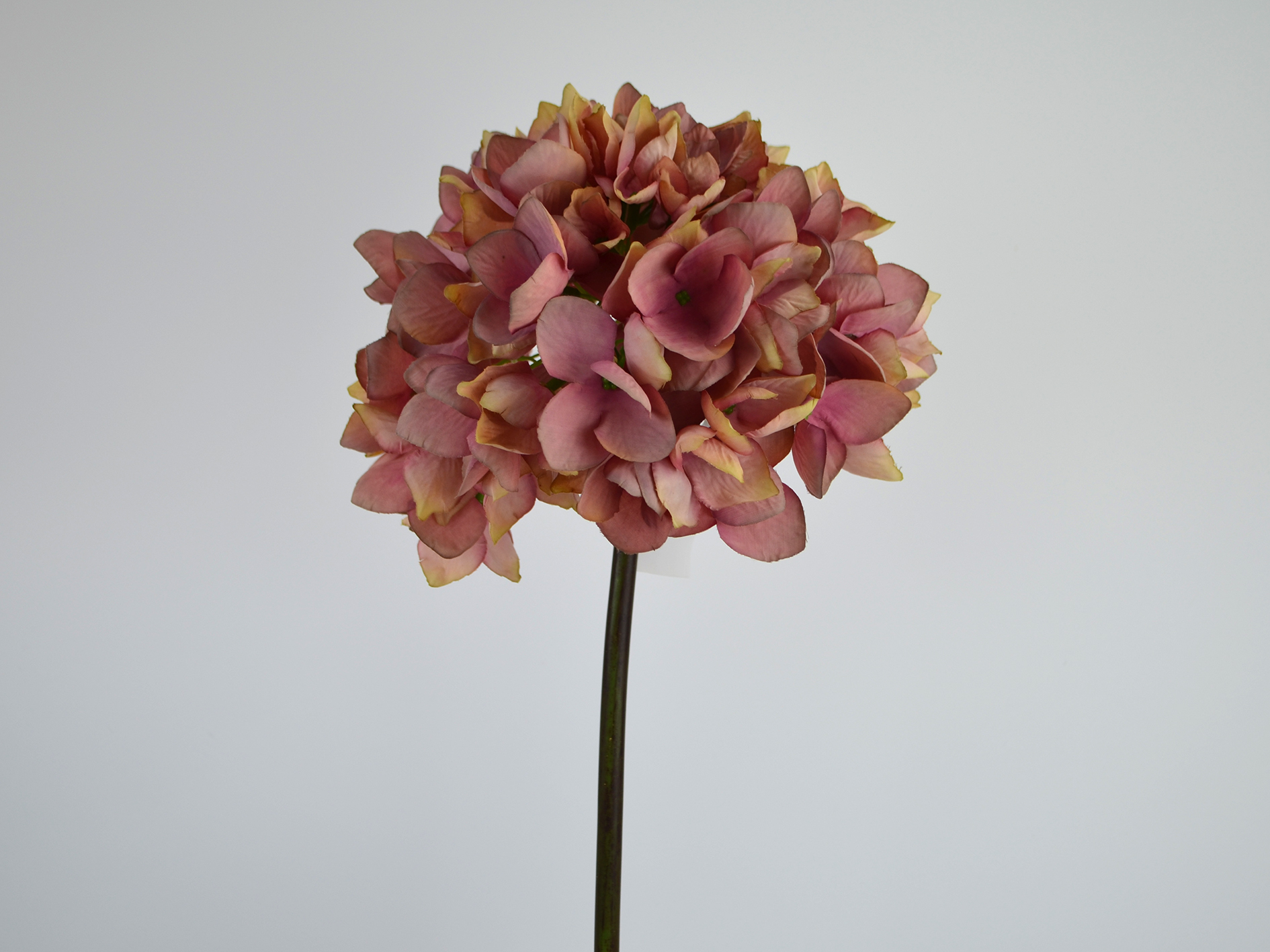 20.5''HYDRANGEA SPRAY