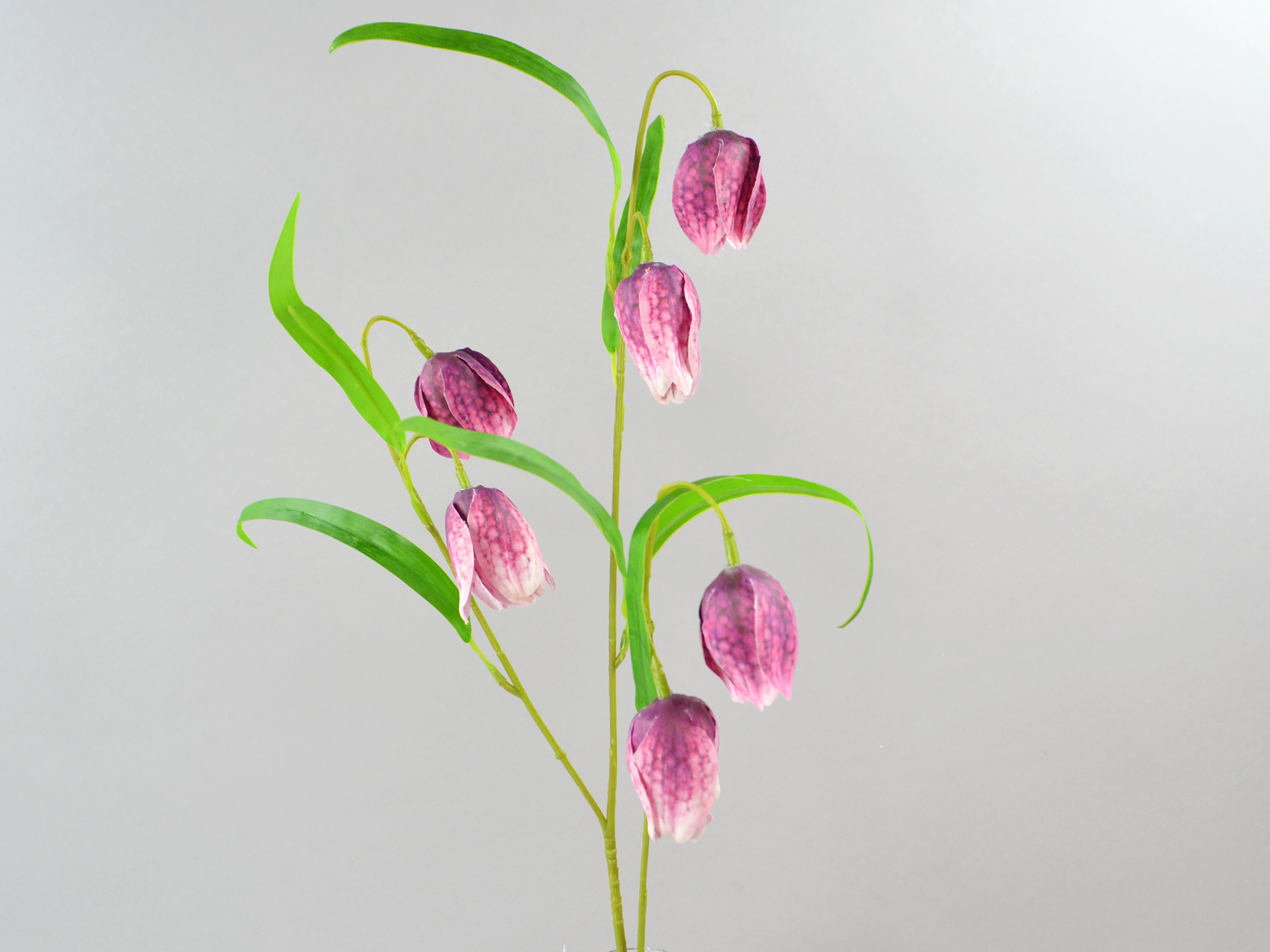 Fritilaria branch, 60cm, purple