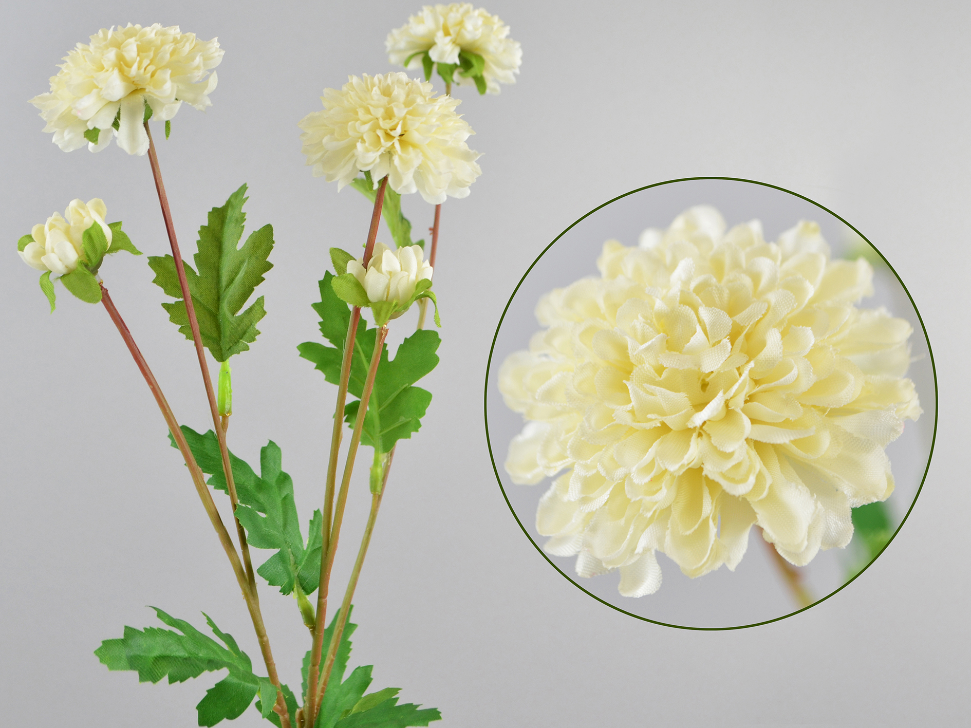 Dahlia flower branch x5, 68cm, cream