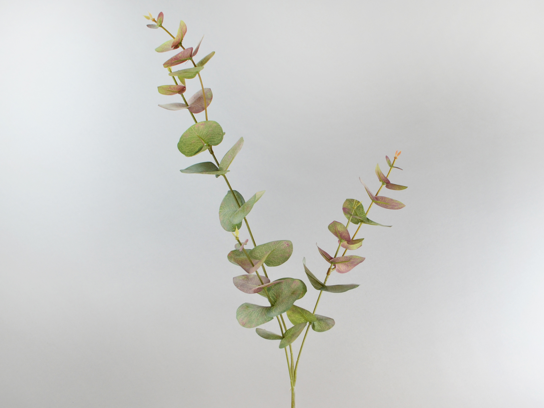 Eucalyptus Branch, 83 cm, Green-Burgundy
