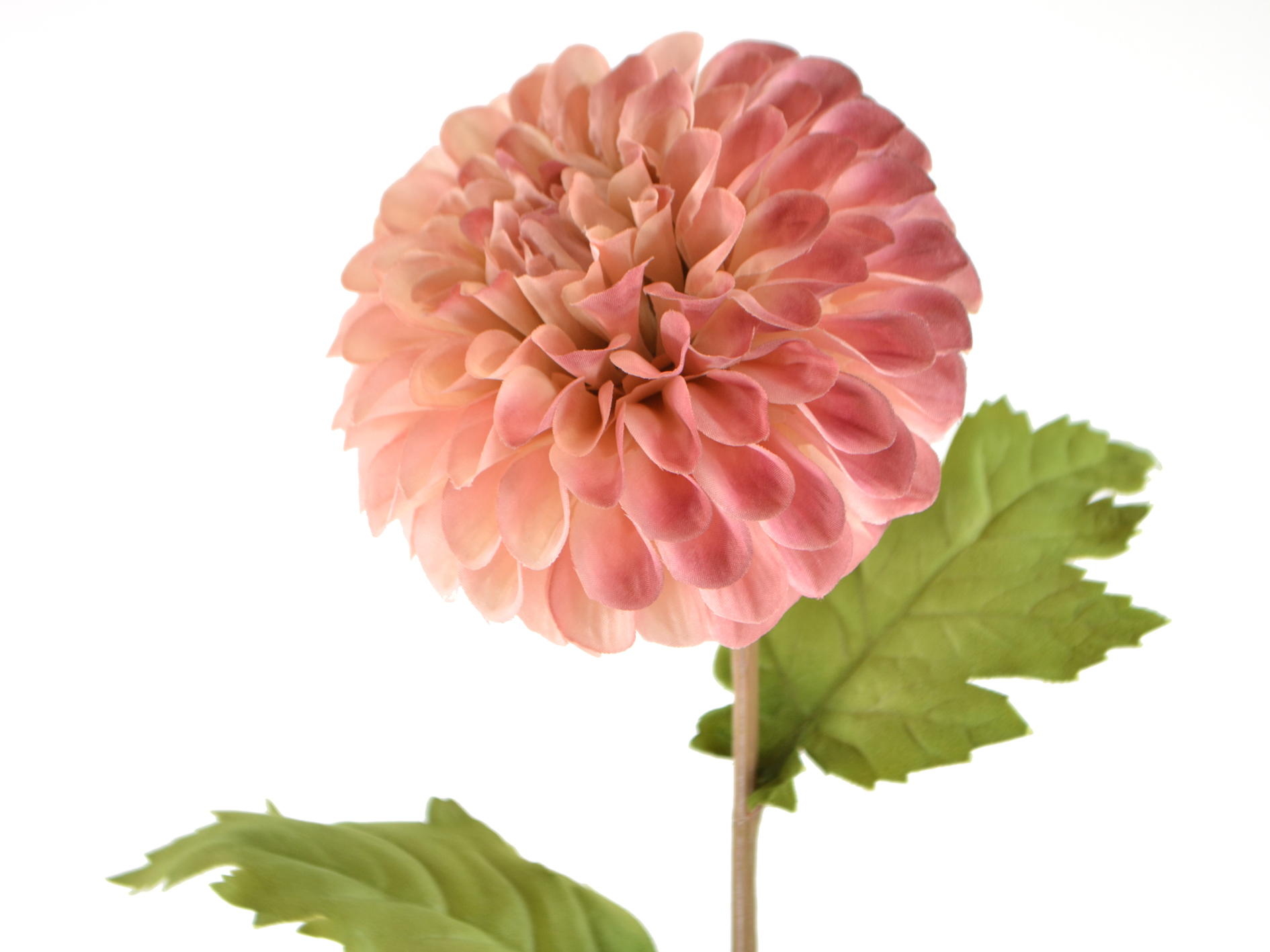 Dahlia branch with leaves, 75cm, fuchsia