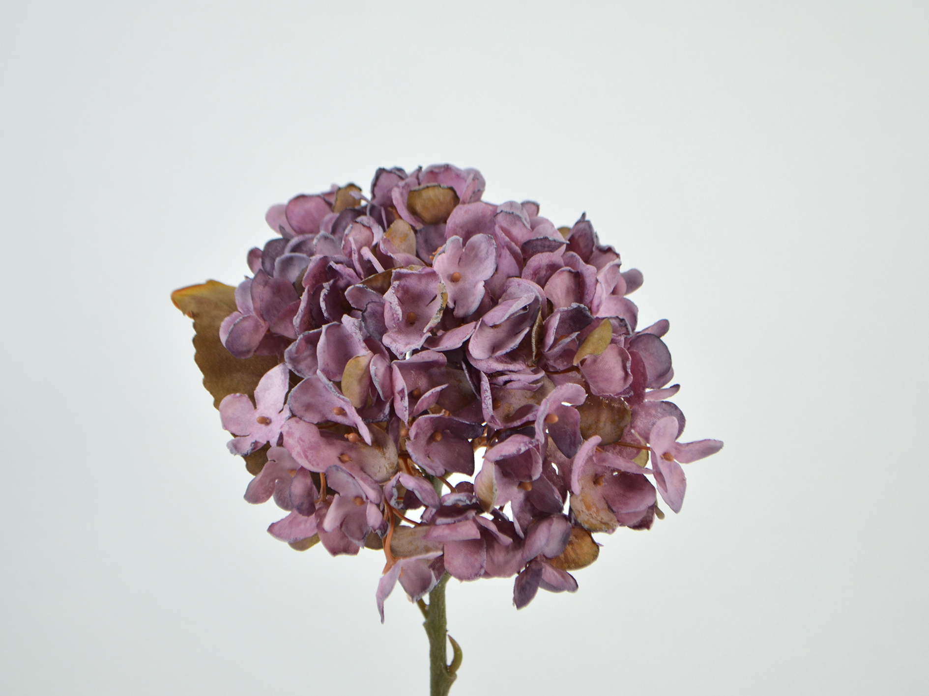 Hortensien-Pick, 34cm, lila