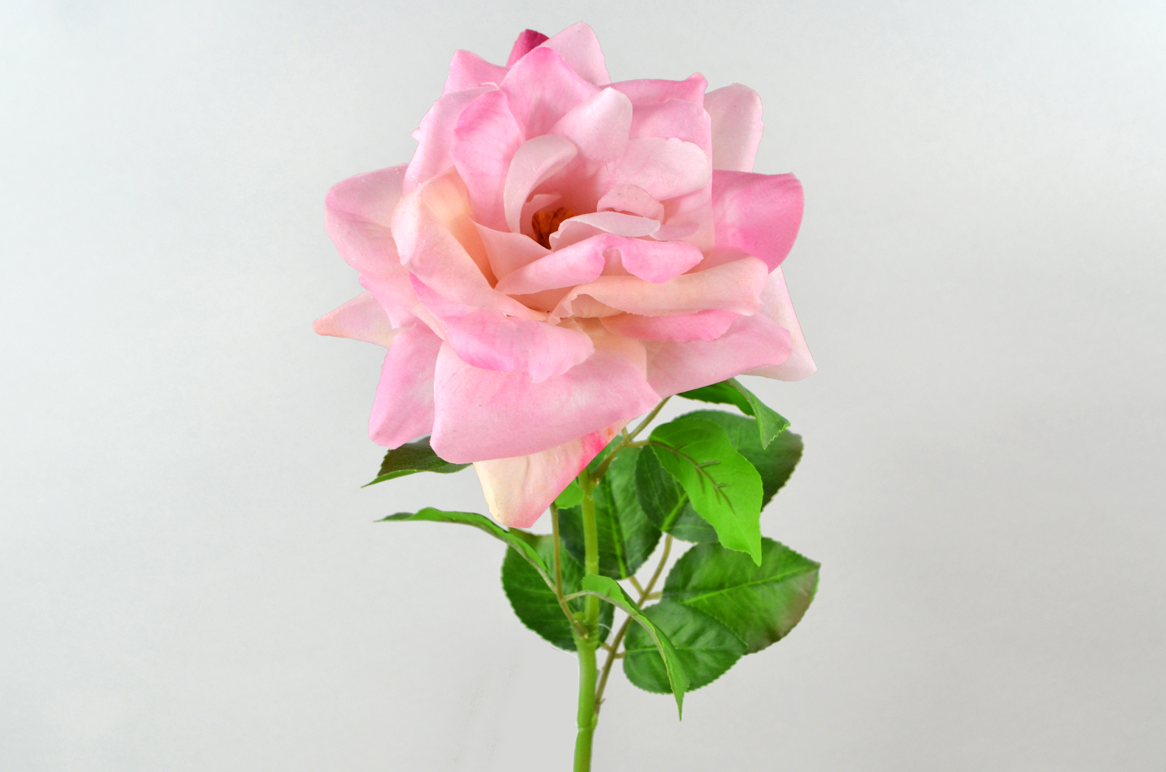 Rose branch x1, real touch, 70cm, pink