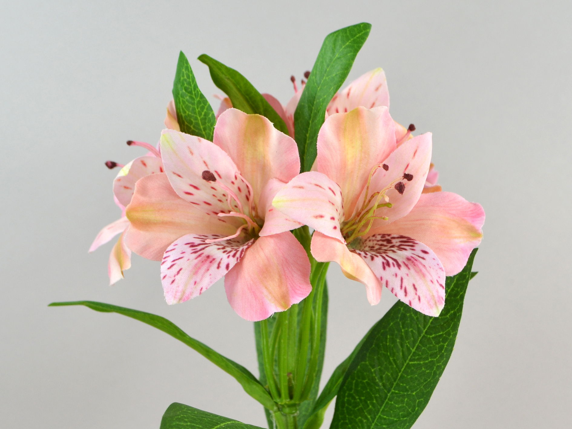 Alstromerie-Zweig, 74cm, rosa