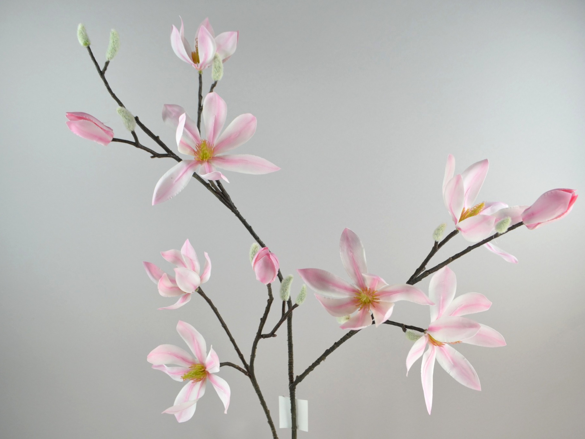 Magnolia Branch, 103 cm, Pink-White