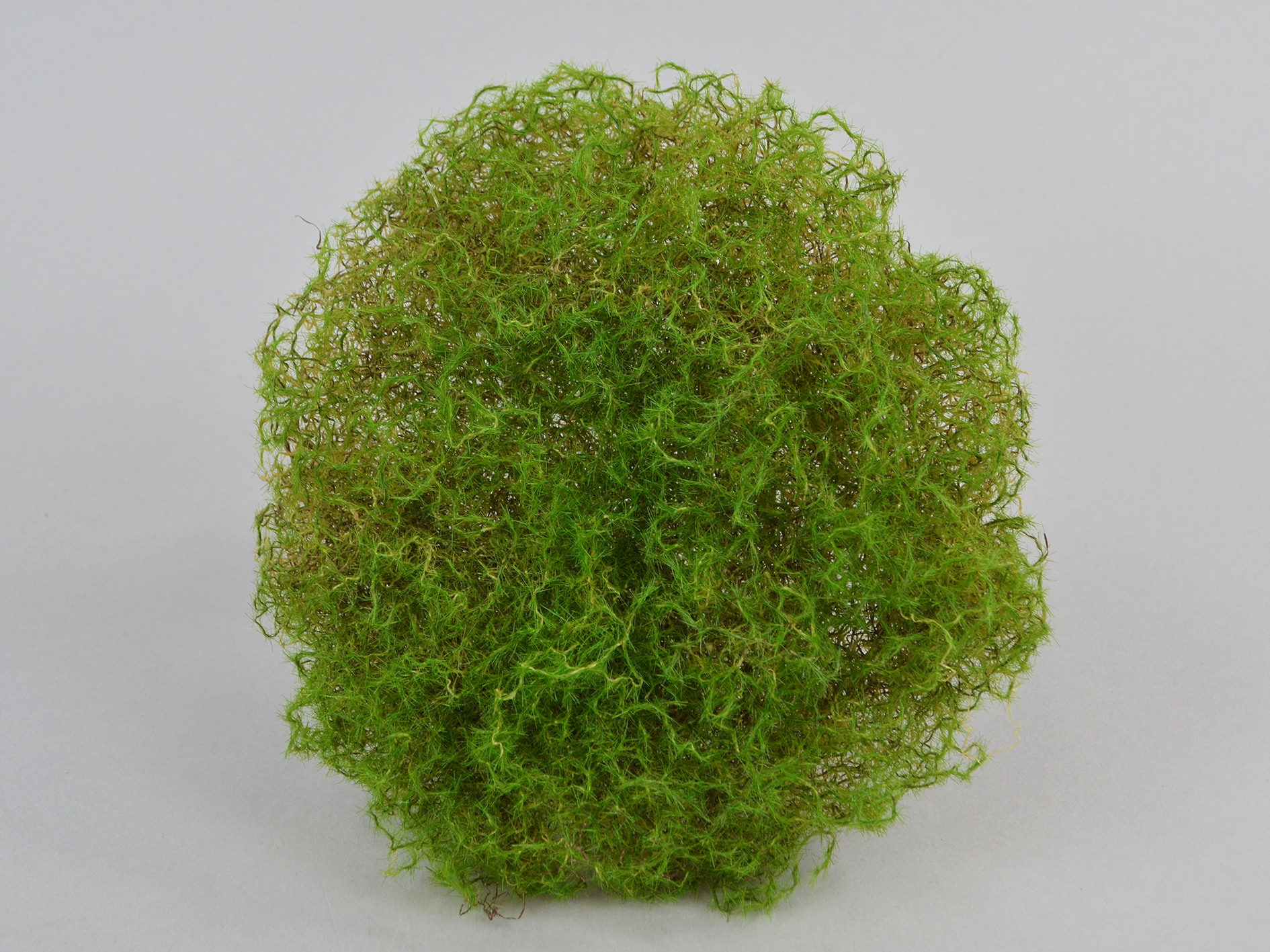Moss mat, Ø 20cm, green