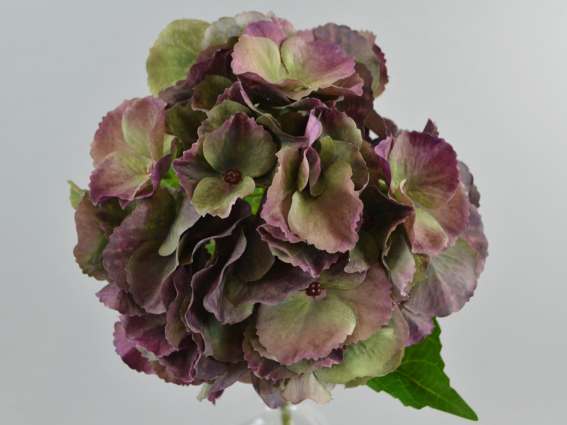 Hydrangea branch, 50cm, dark green