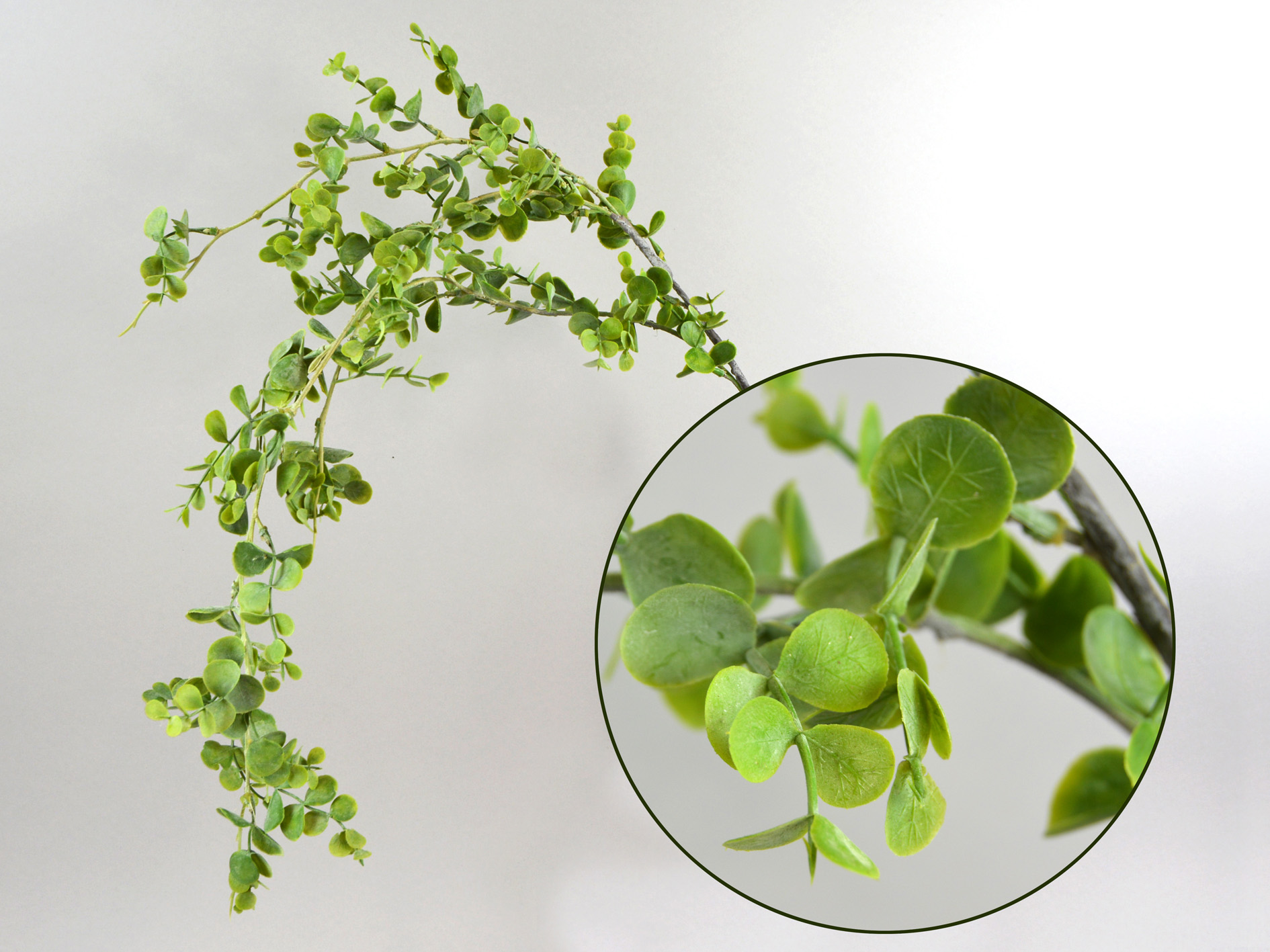 Eucalyptus hanger, 76cm m, green