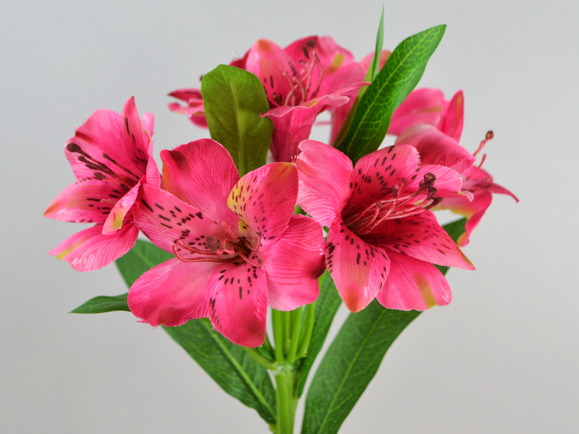Alstromerie-Zweig, 74cm, fuchsia