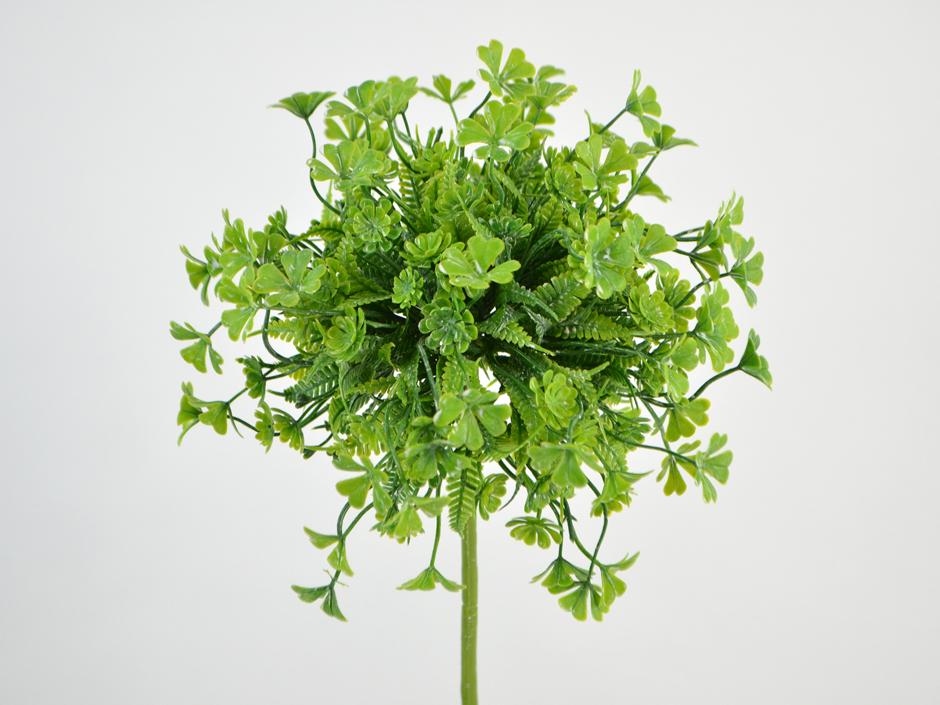 Allium x1, 67cm, grün