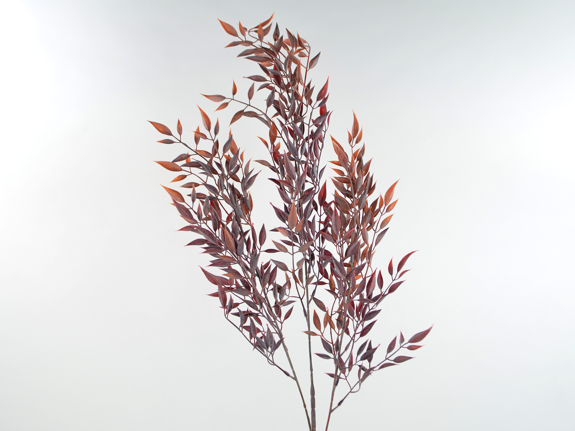 Tea leaf branch x3, 89 cm, purple-red