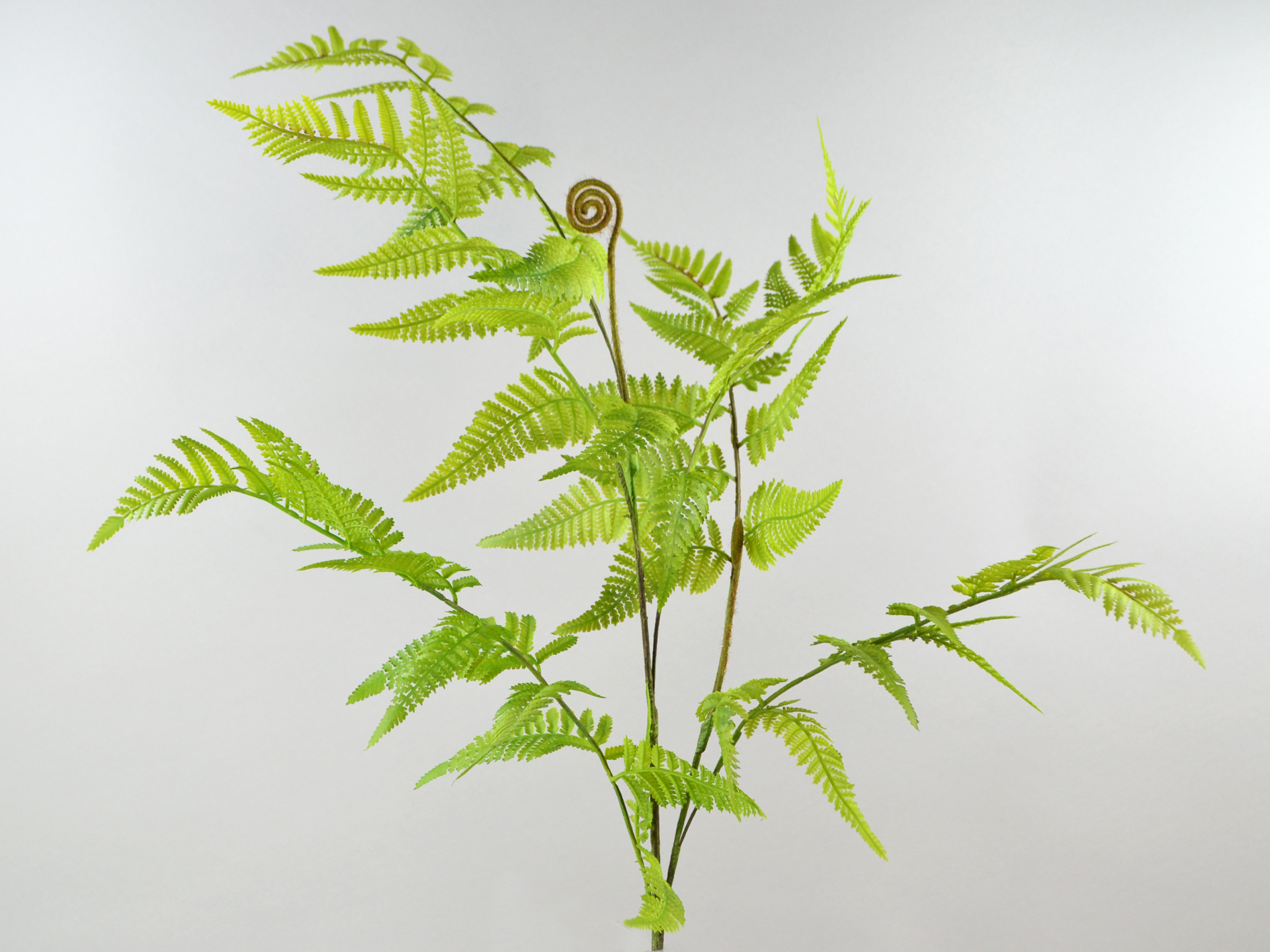 Farn-Zweig, 91cm, grün