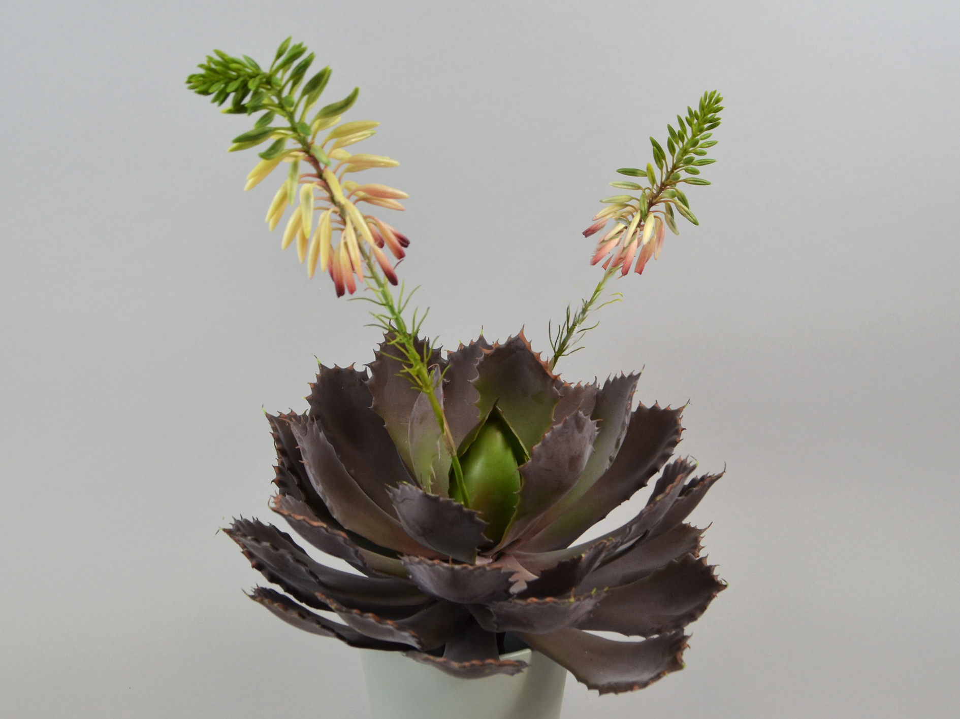 Sukkulenten-Pflanze mit 2 Blüten, 53cm, lila-grün