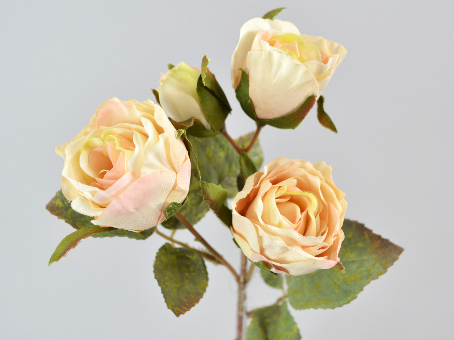 Rose branch, 3 blossoms, 1 bud, 38cm, cream
