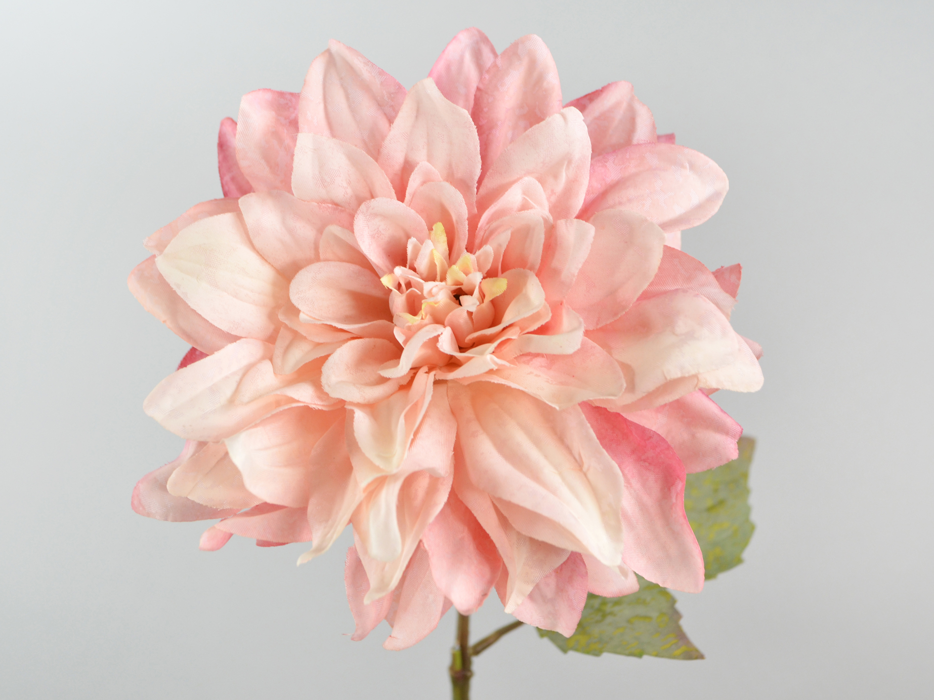 Dahlien-Zweig, 62cm, rosa